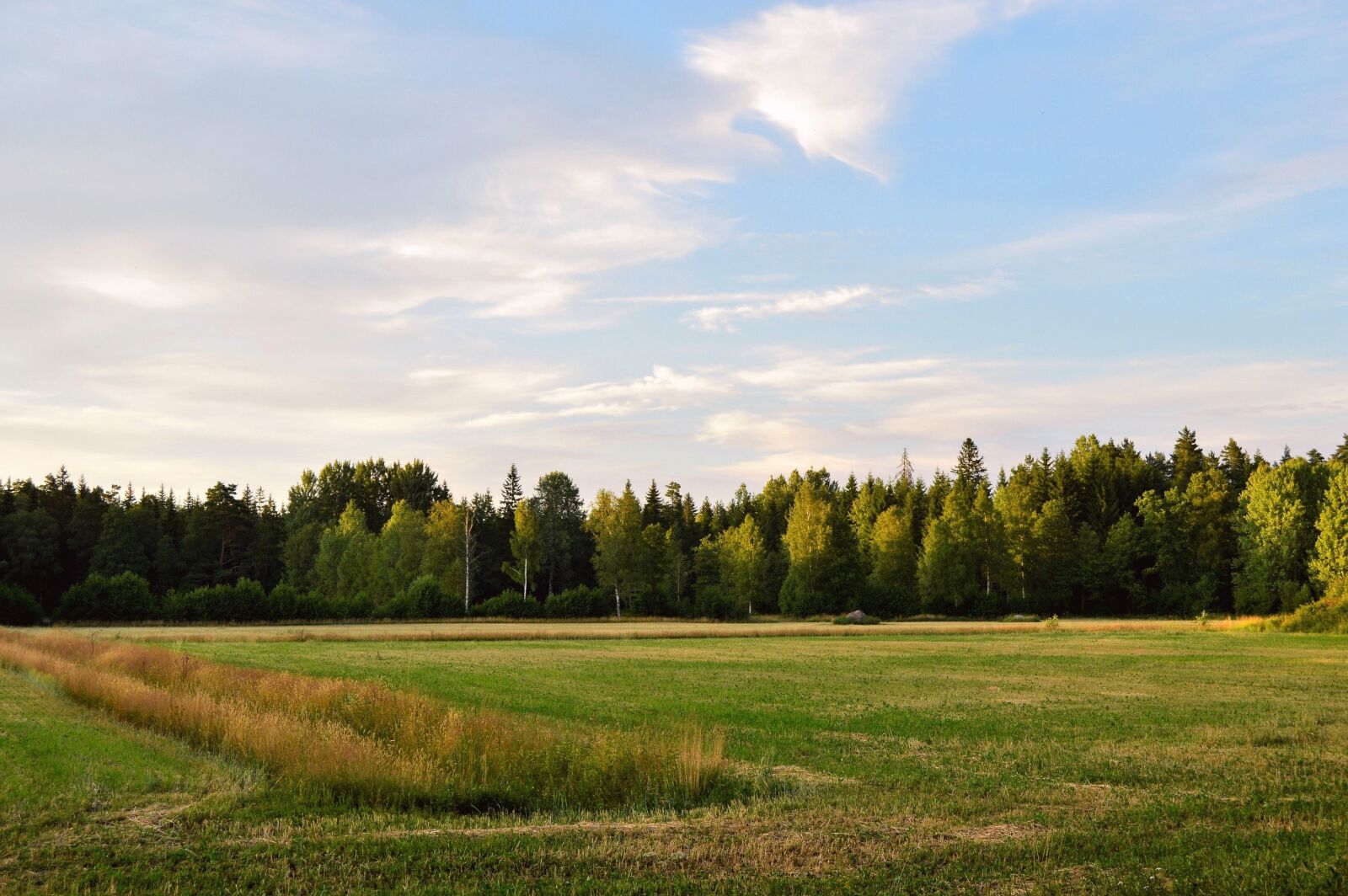 Nikon D3200 sample photo. Sweden, bed, summer photography