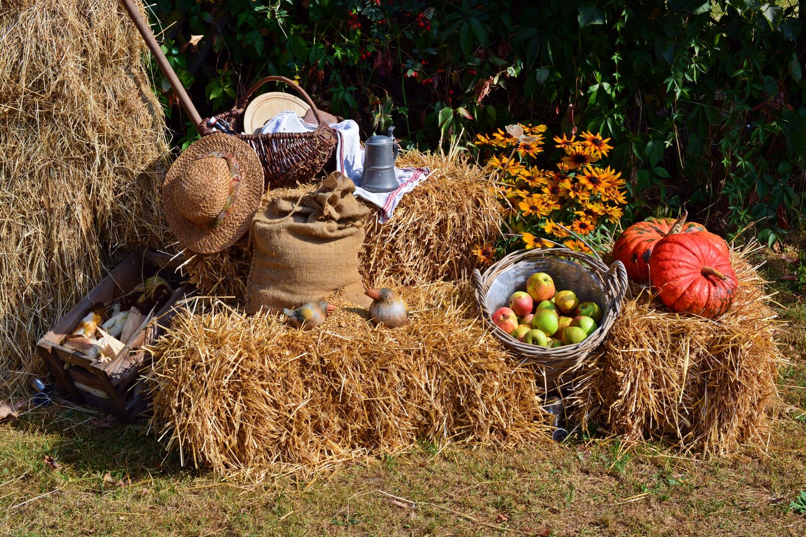 Nikon D5200 sample photo. Harvest, harvest festival, thanksgiving photography