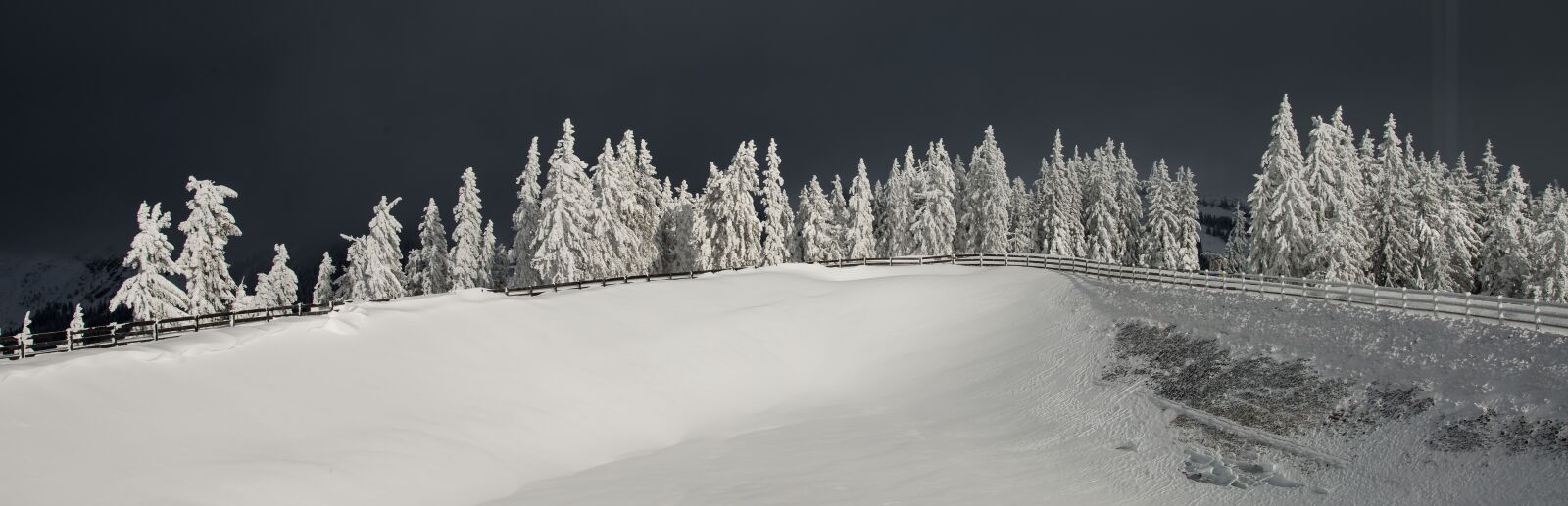Nikon D800 sample photo. Winter, snow, nature photography