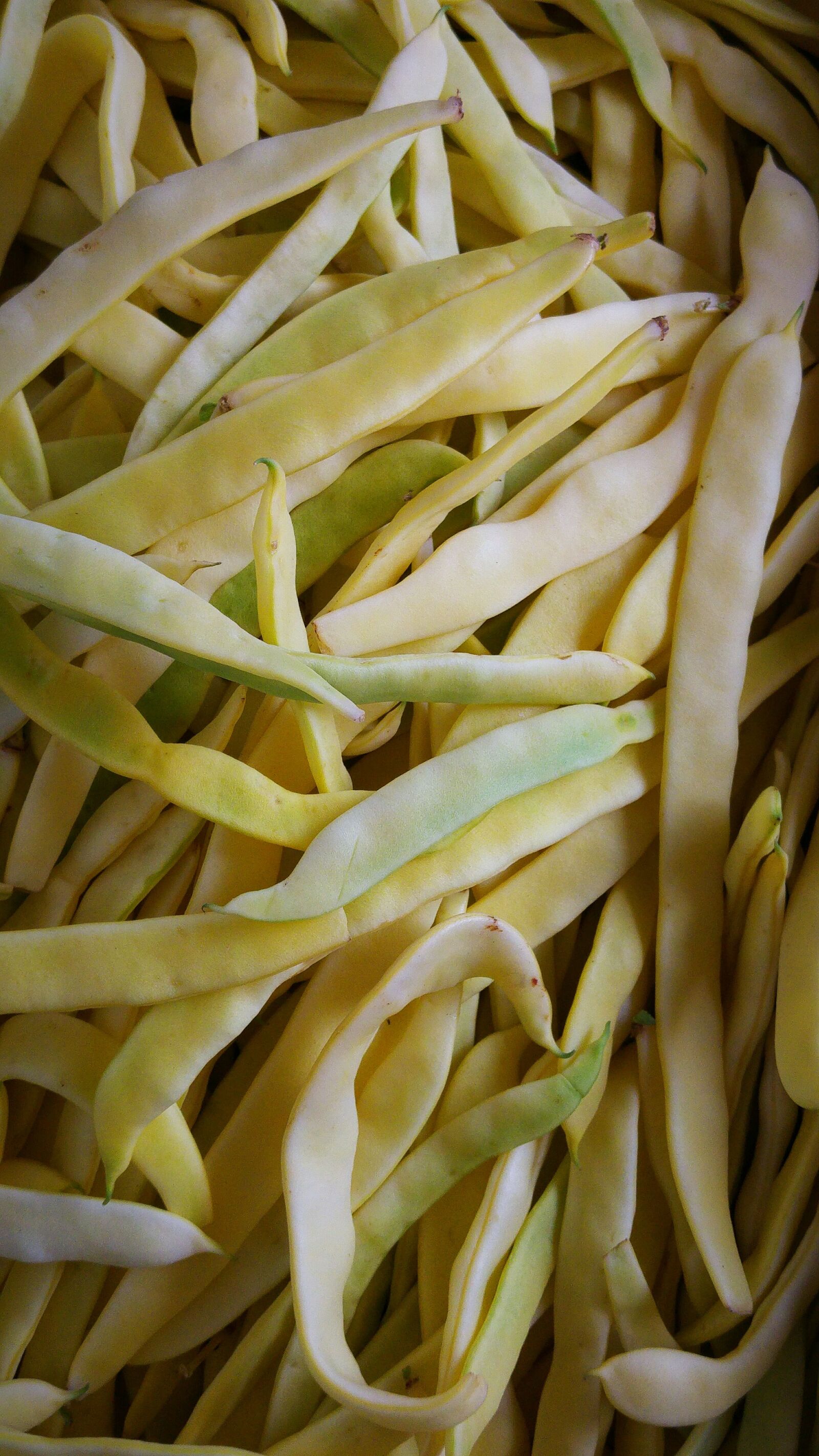 LG G4 sample photo. Beans, vegetables, food photography
