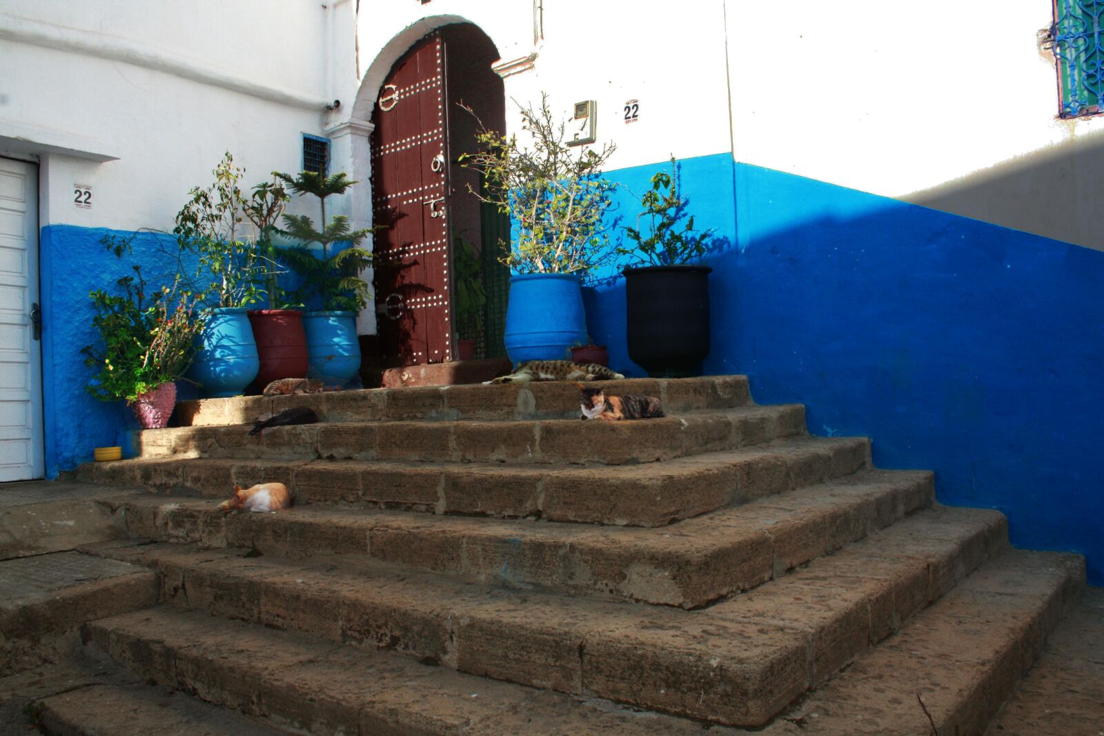 Canon EOS 450D (EOS Rebel XSi / EOS Kiss X2) sample photo. Africa, architecture, color, morocco photography