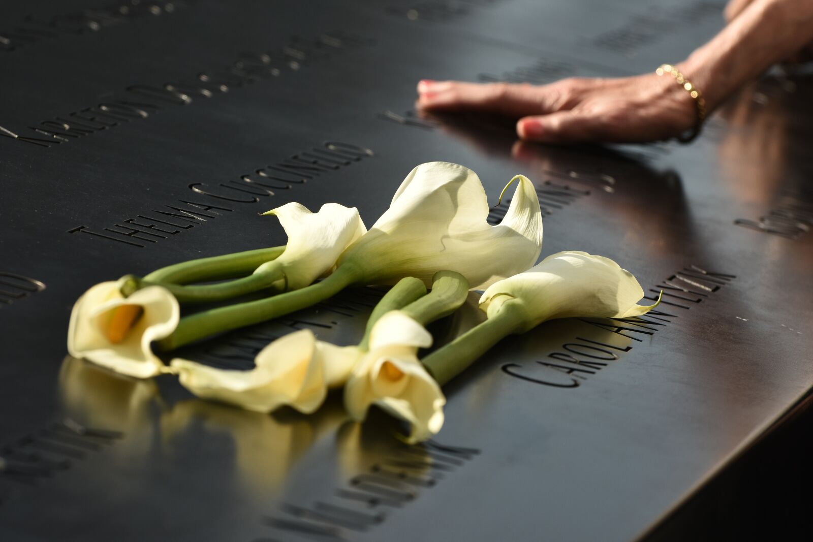 Nikon D7200 sample photo. Memorial, 911 memorial, new york photography