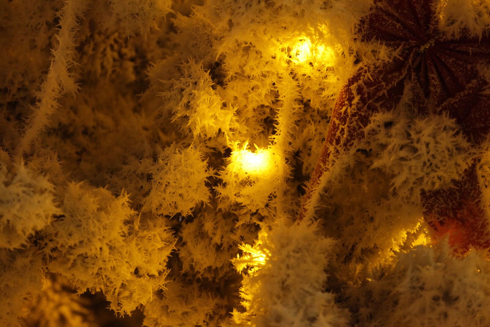 Canon EOS 5D Mark II sample photo. Snow, rime, new year's photography