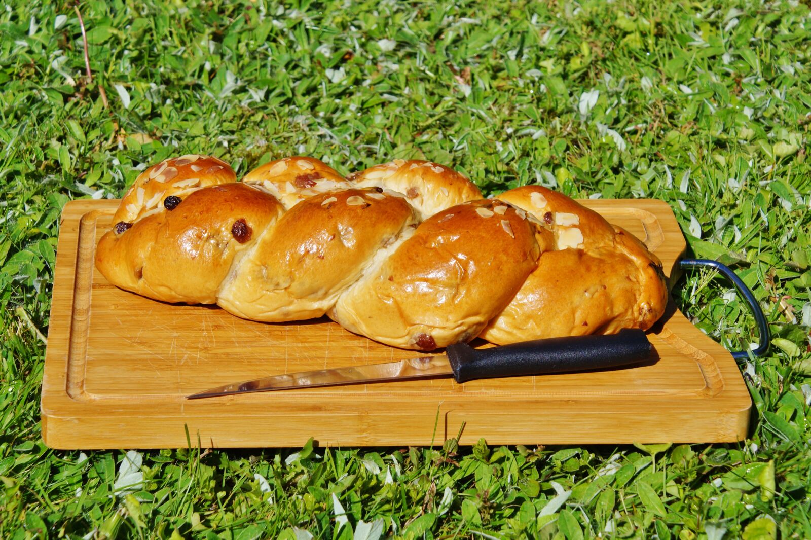 Sony SLT-A58 sample photo. Raisin braid, cake, plait photography