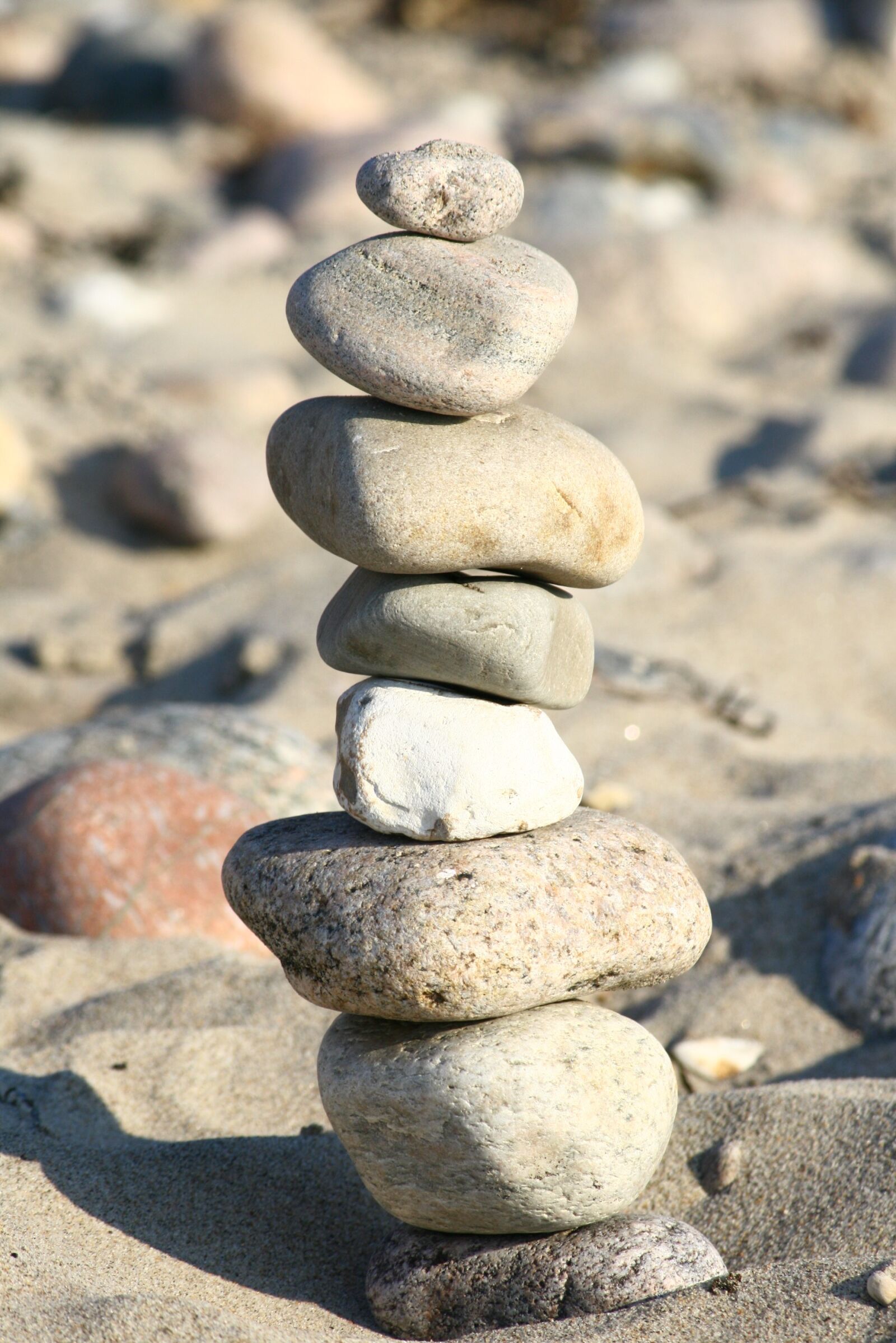 Canon EOS 400D (EOS Digital Rebel XTi / EOS Kiss Digital X) sample photo. Beach, stones, play photography