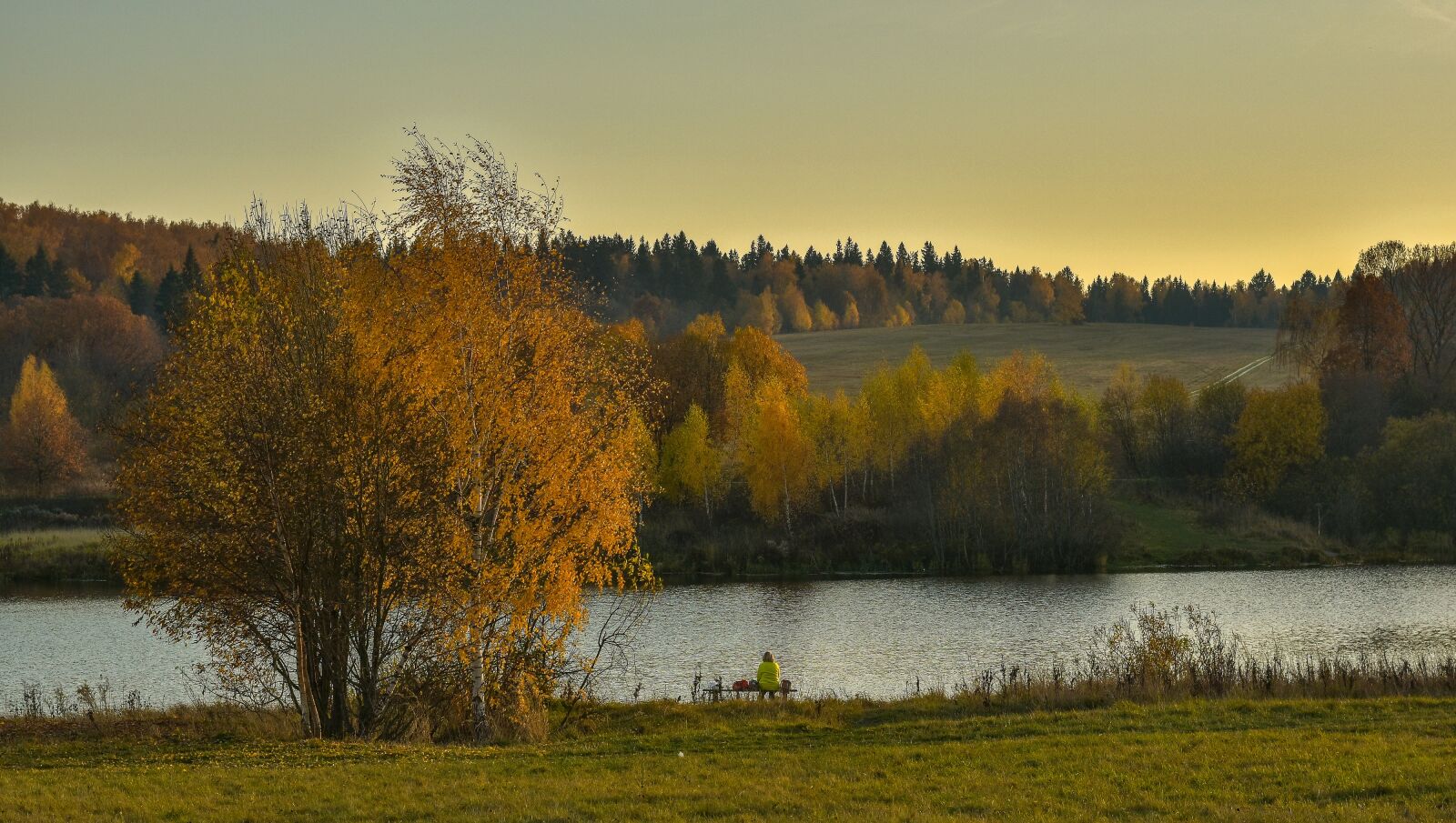 Nikon D5500 sample photo. Landscape, nature, autumn photography