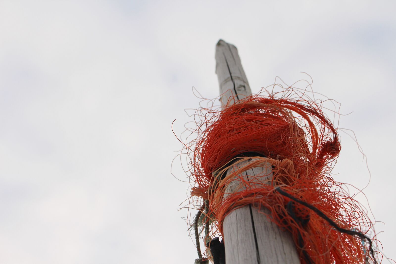 Canon EOS 100D (EOS Rebel SL1 / EOS Kiss X7) sample photo. Clouds, orange, post photography