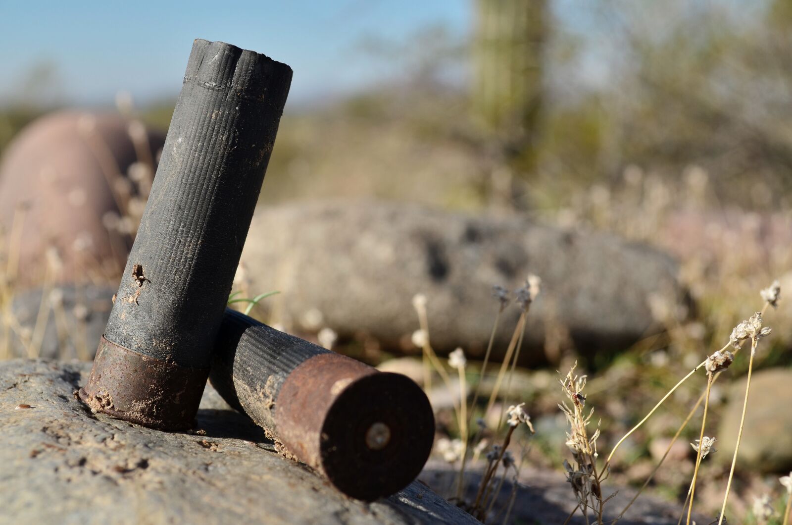 Nikon D5100 sample photo. Shotgun shells, desert, ammo photography