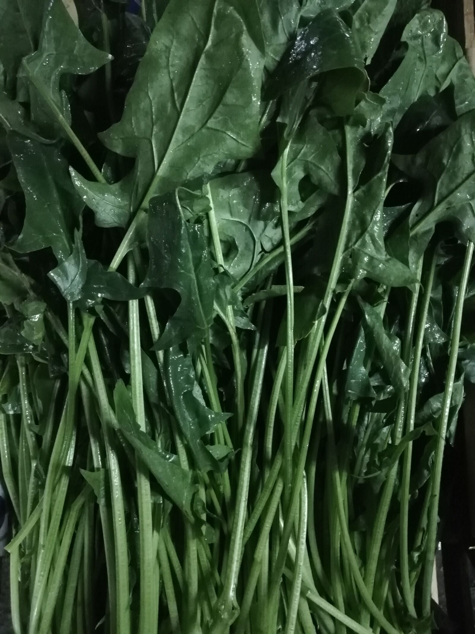 HUAWEI P20 lite sample photo. Spinach, green, food photography