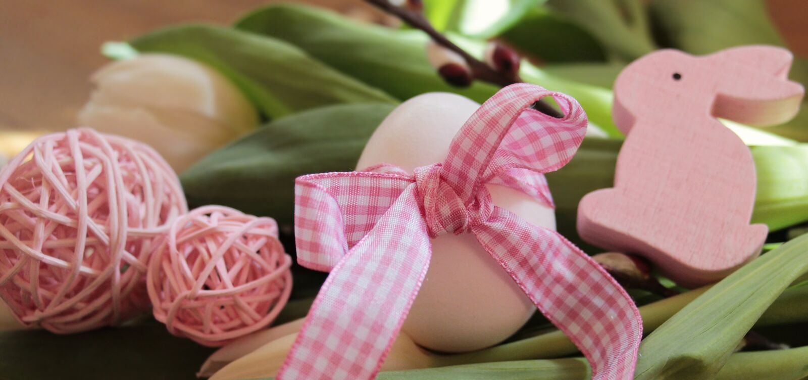 Canon EOS 100D (EOS Rebel SL1 / EOS Kiss X7) sample photo. Easter egg, easter, willow photography