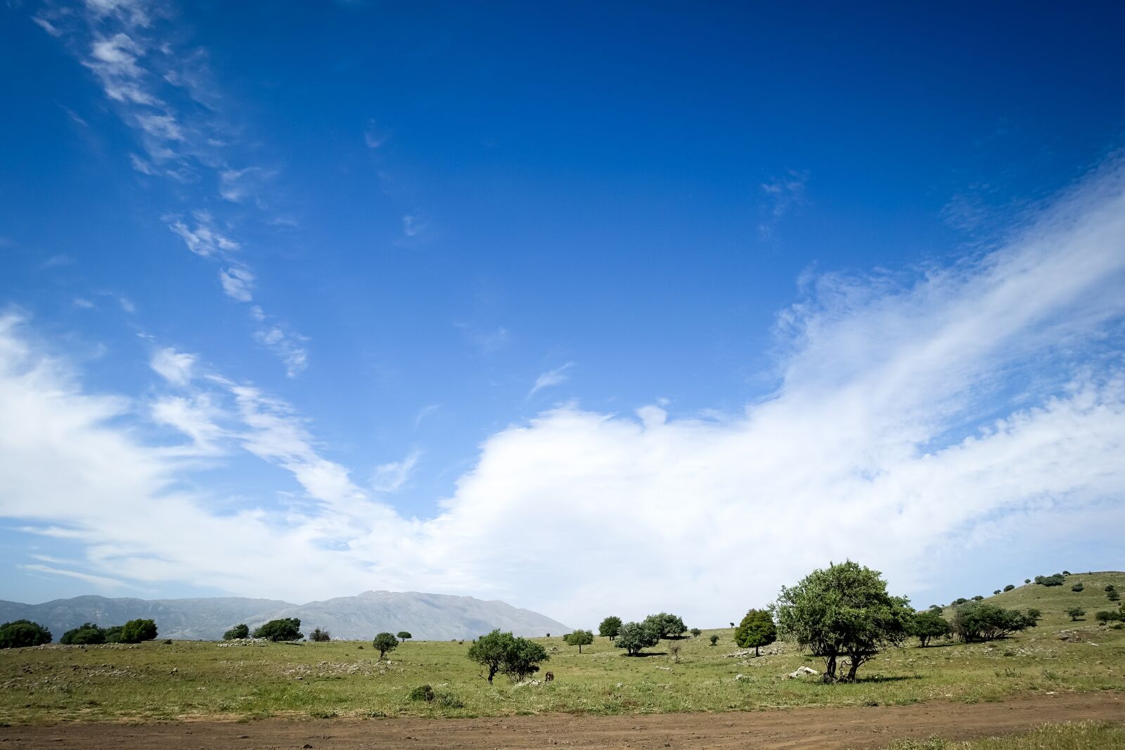 Sony Cyber-shot DSC-RX100 III sample photo. Clouds, countryside, dirt road photography