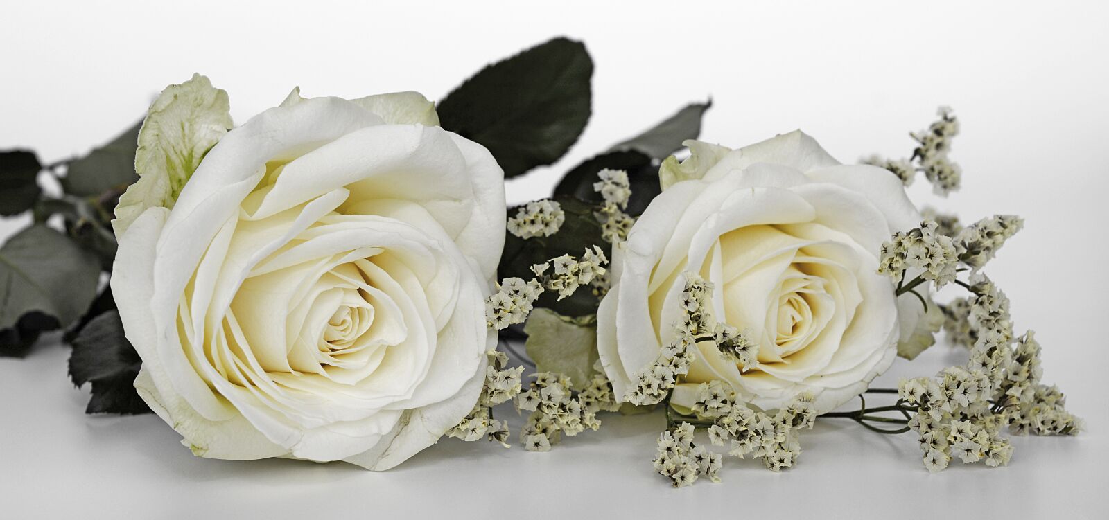 Nikon D7100 sample photo. Roses, wedding, rose flower photography