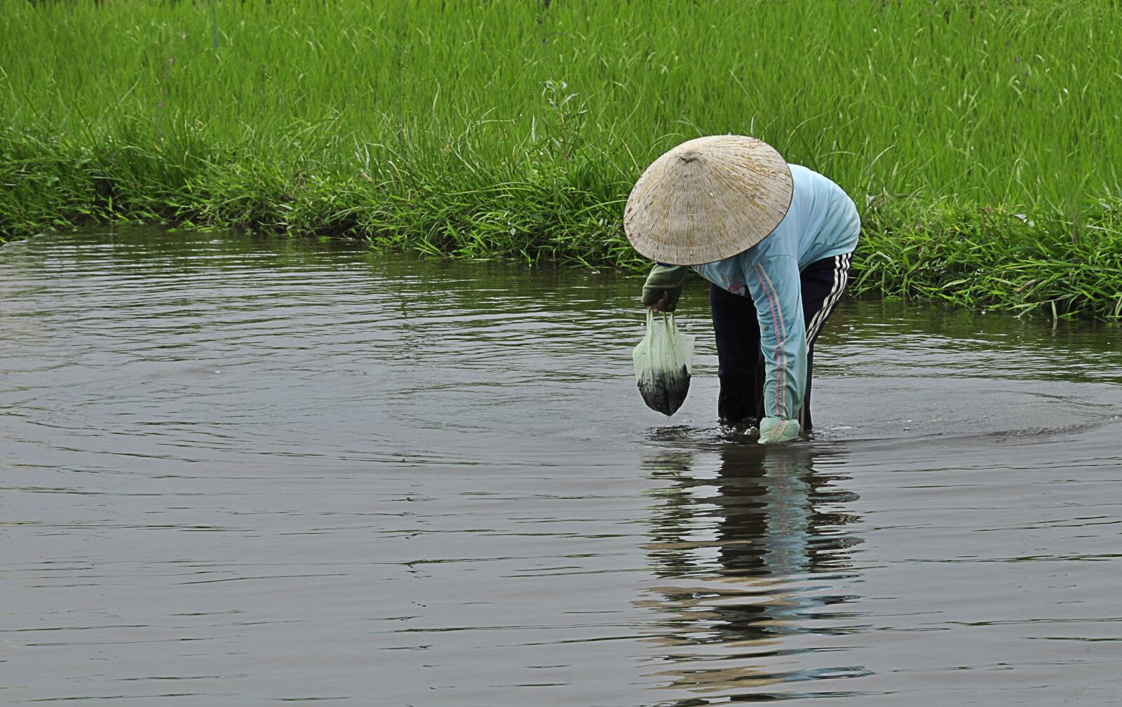 Nikon D90 sample photo. Vietnam, peasant, culture photography