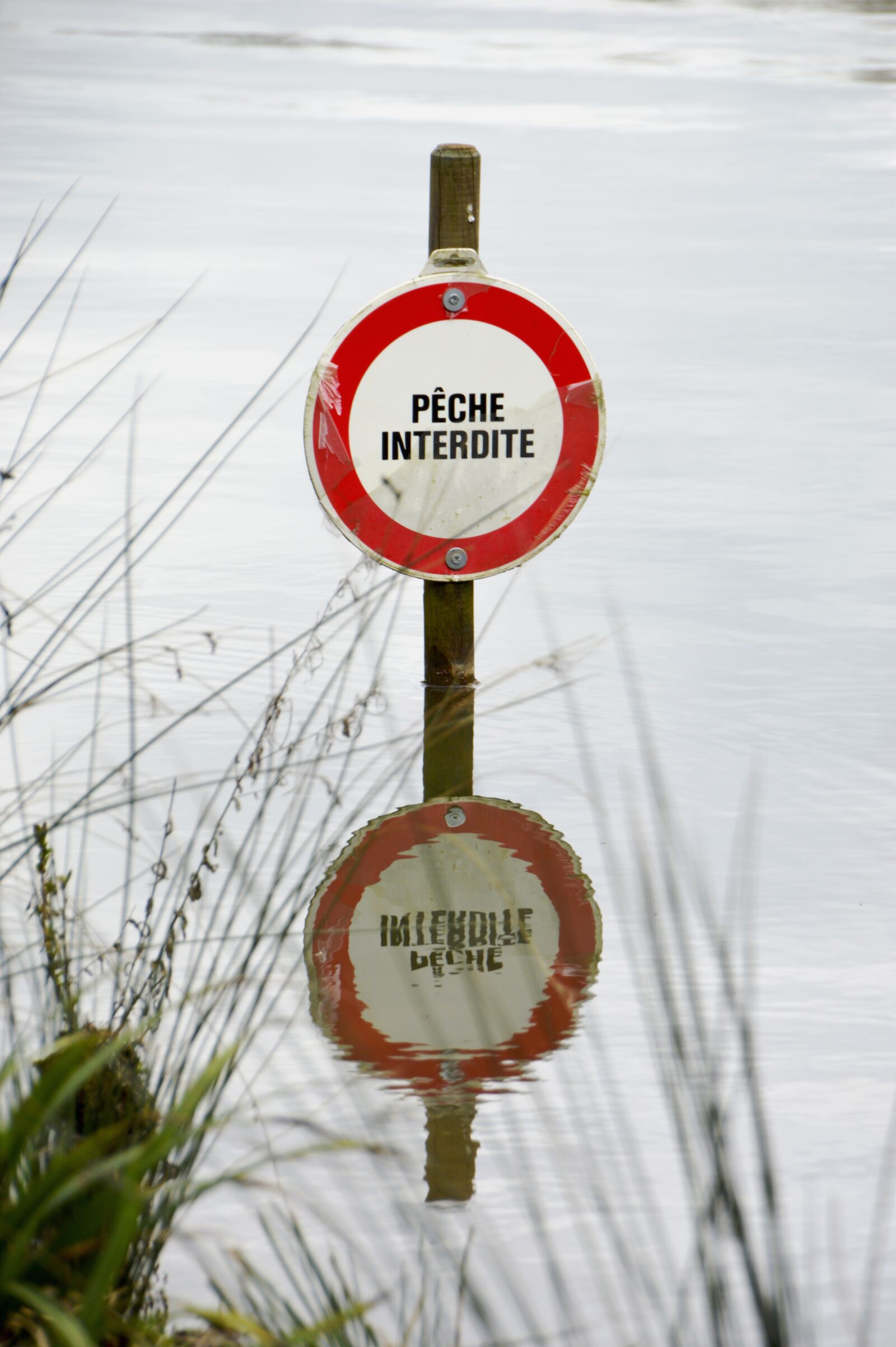 Nikon D3200 sample photo. Sign, outdoor, symbol photography