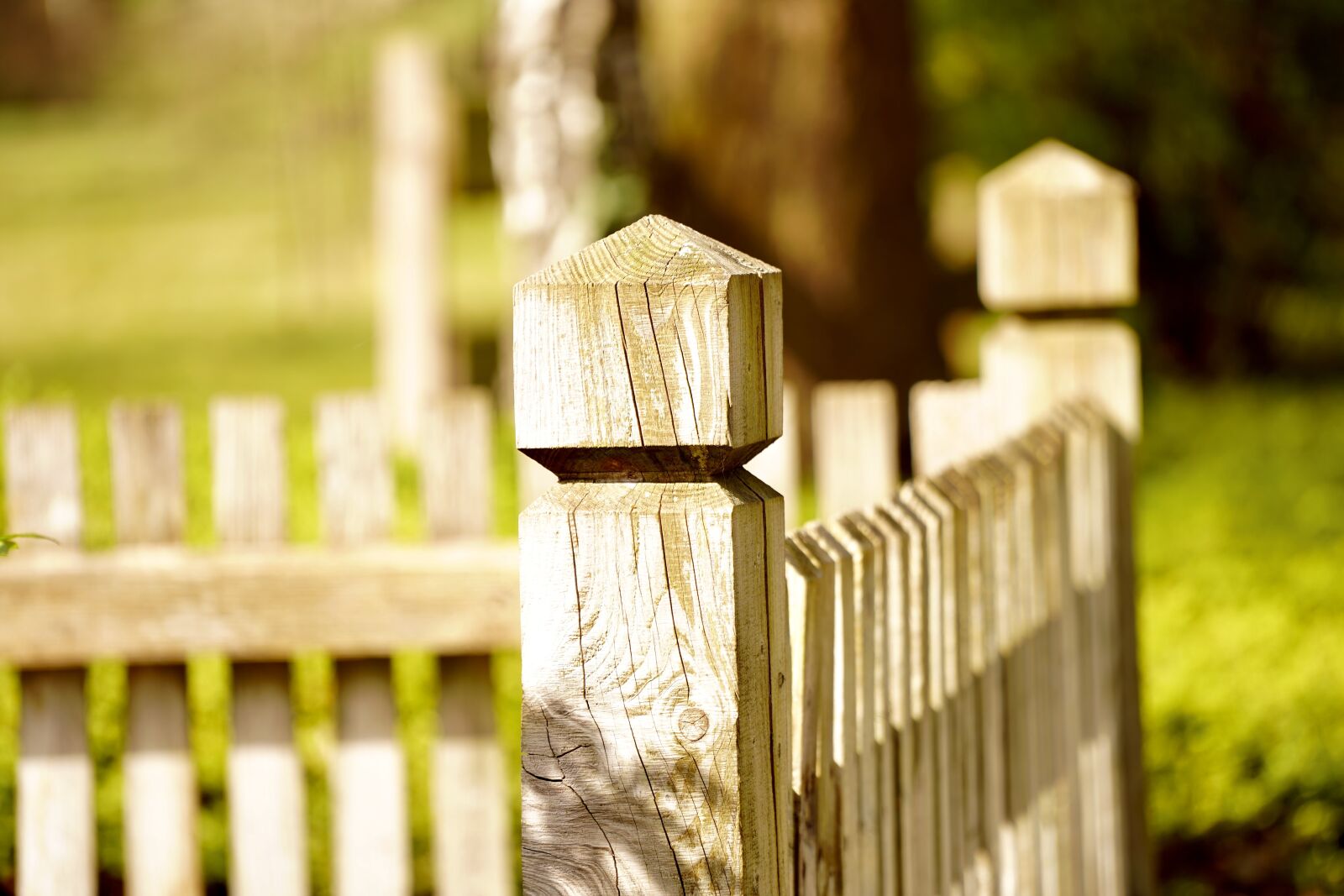 Sony a7 III sample photo. Garden fence, fence, wood photography