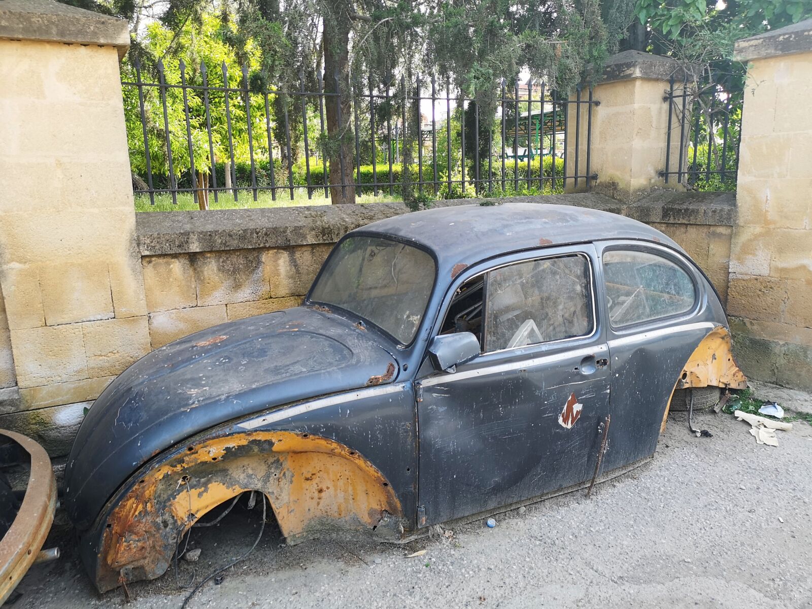 HUAWEI CLT-L29 sample photo. Beetle, body, scrap photography