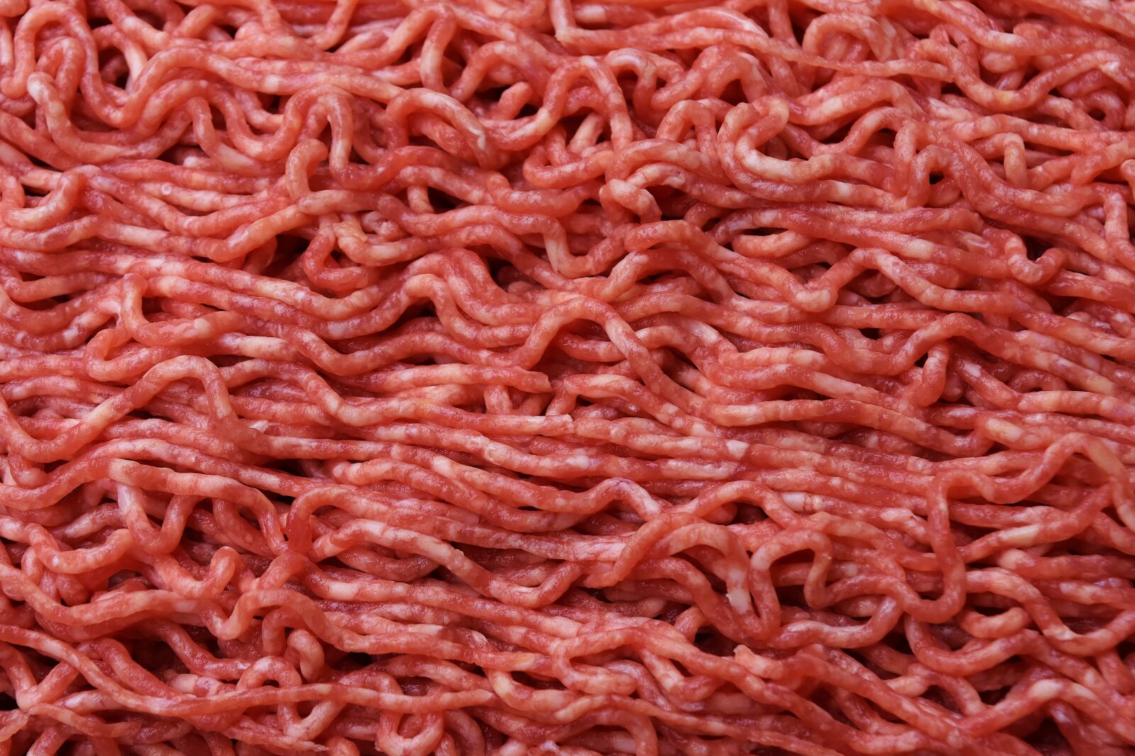 Nikon D7200 sample photo. Minced meat, meat, minced photography