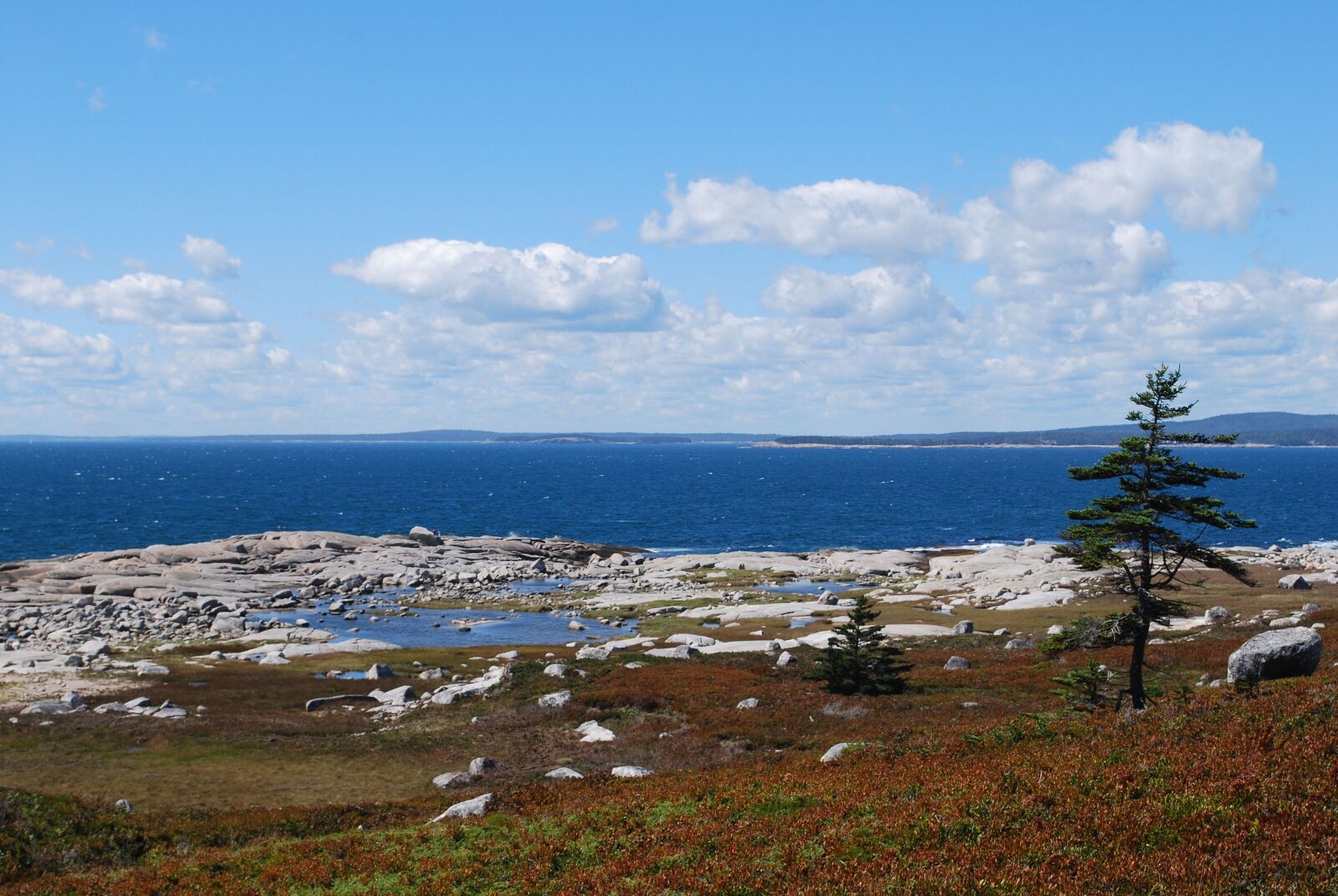 Nikon D60 sample photo. Nova, scotia, canada photography