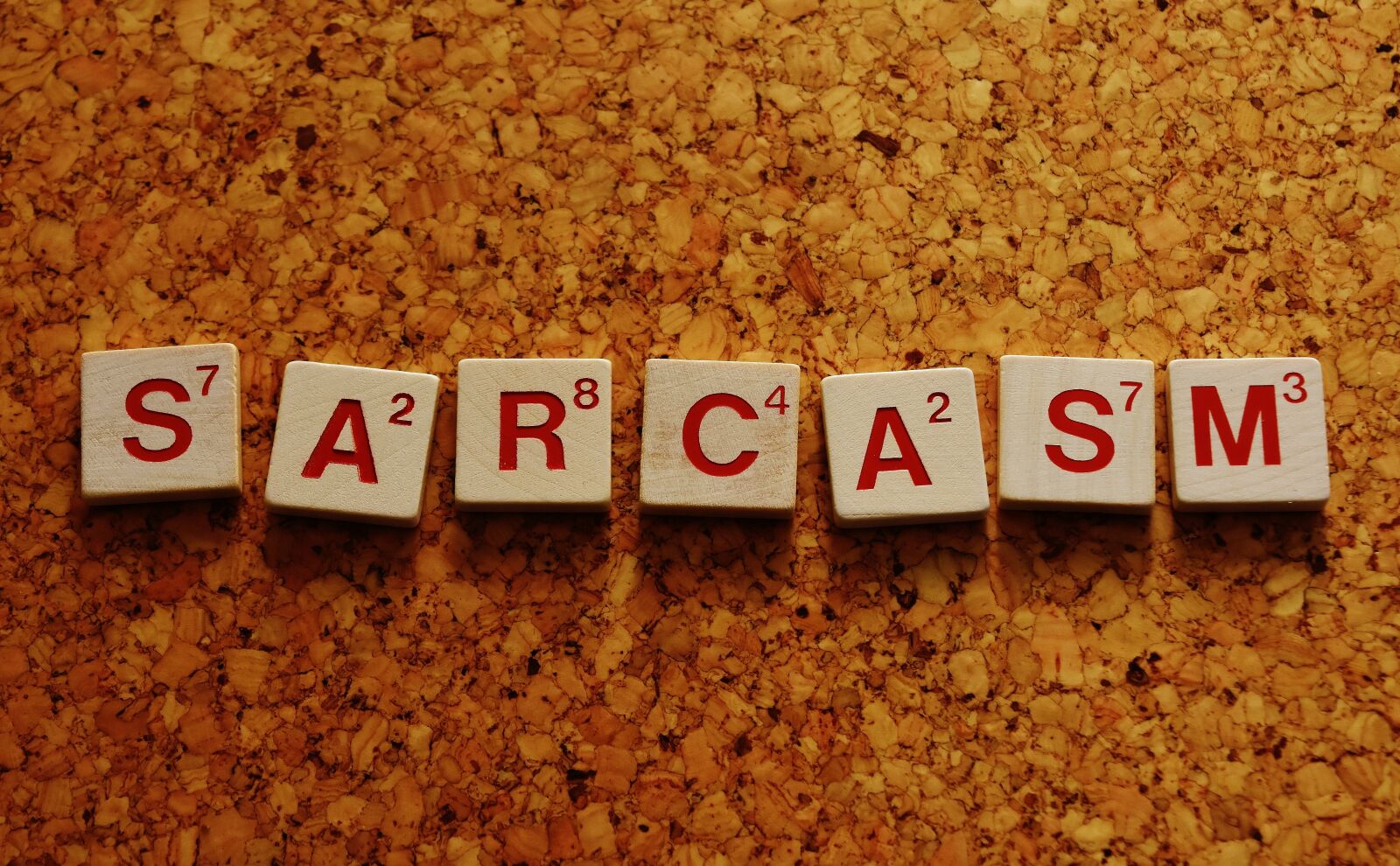 Nikon D7200 sample photo. Sarcasm, word, letters photography
