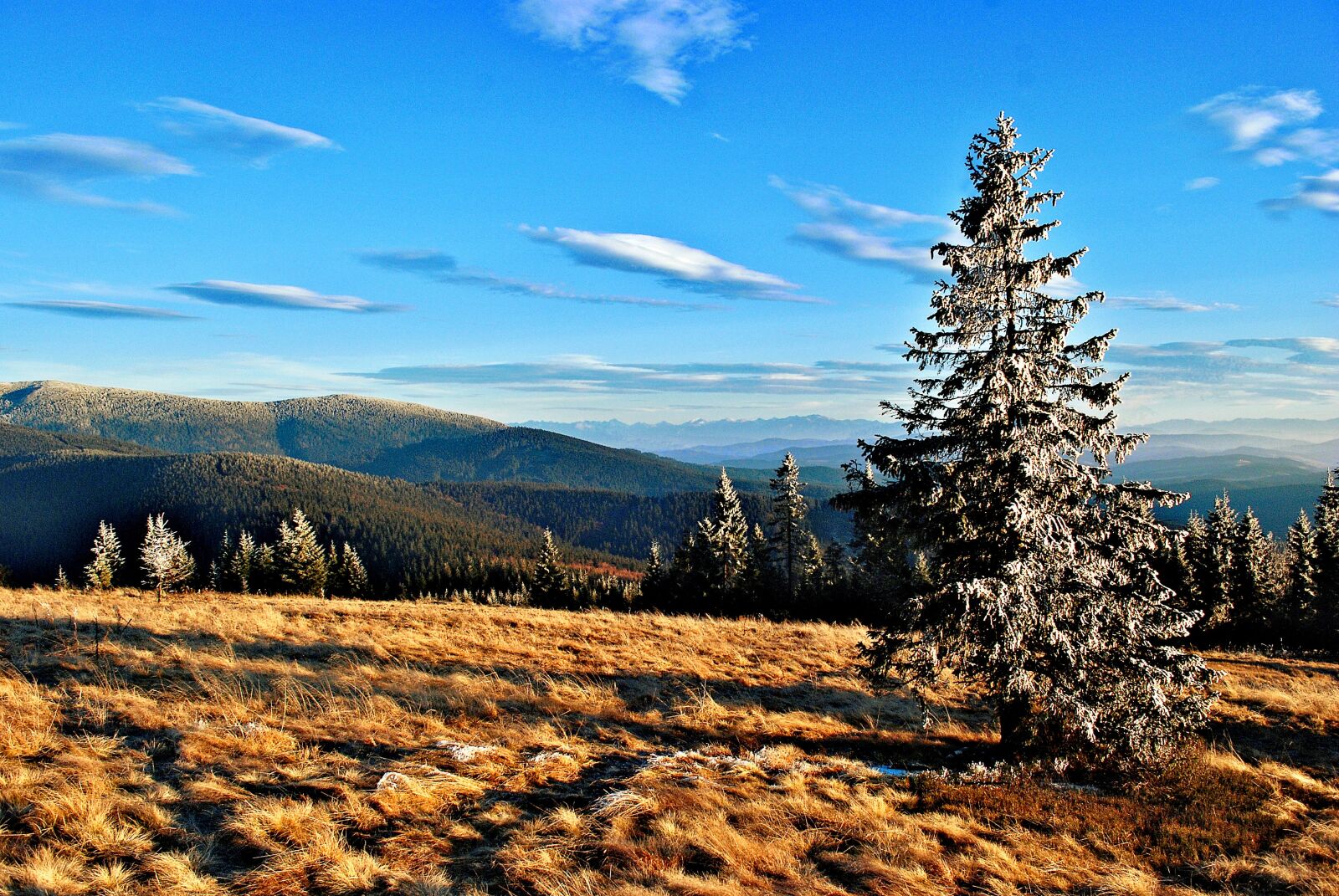 Nikon D80 sample photo. Rysianka, polyana, mountains photography