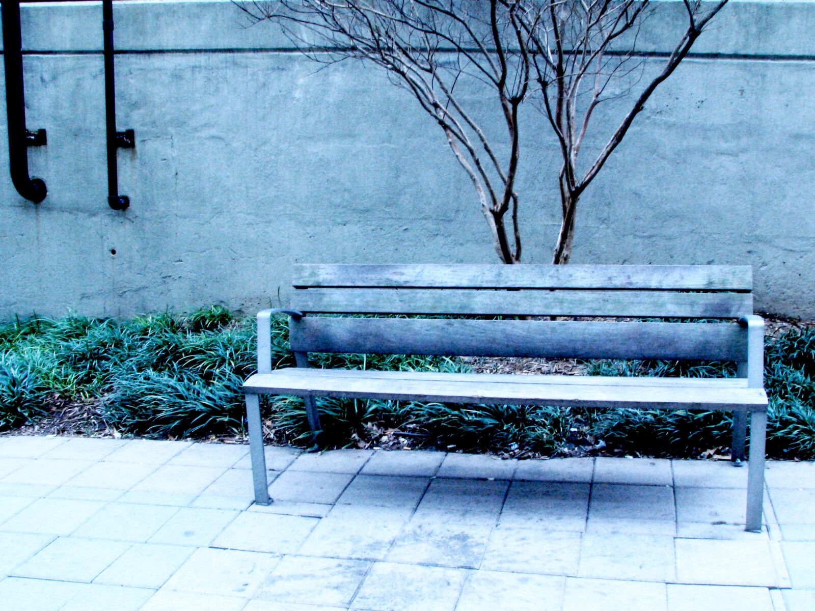 Canon POWERSHOT S5 IS sample photo. Bench, city, empty photography
