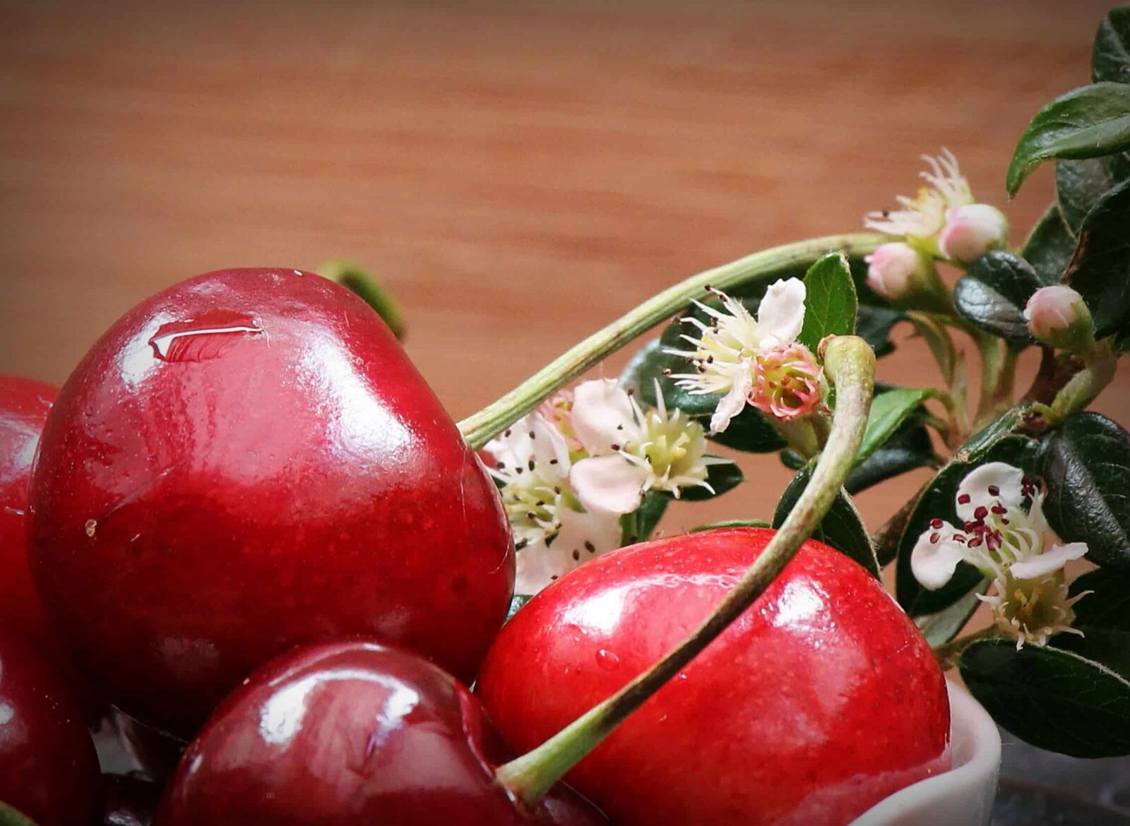 Canon EOS 550D (EOS Rebel T2i / EOS Kiss X4) sample photo. Flower, leaf, cherry, fruit photography