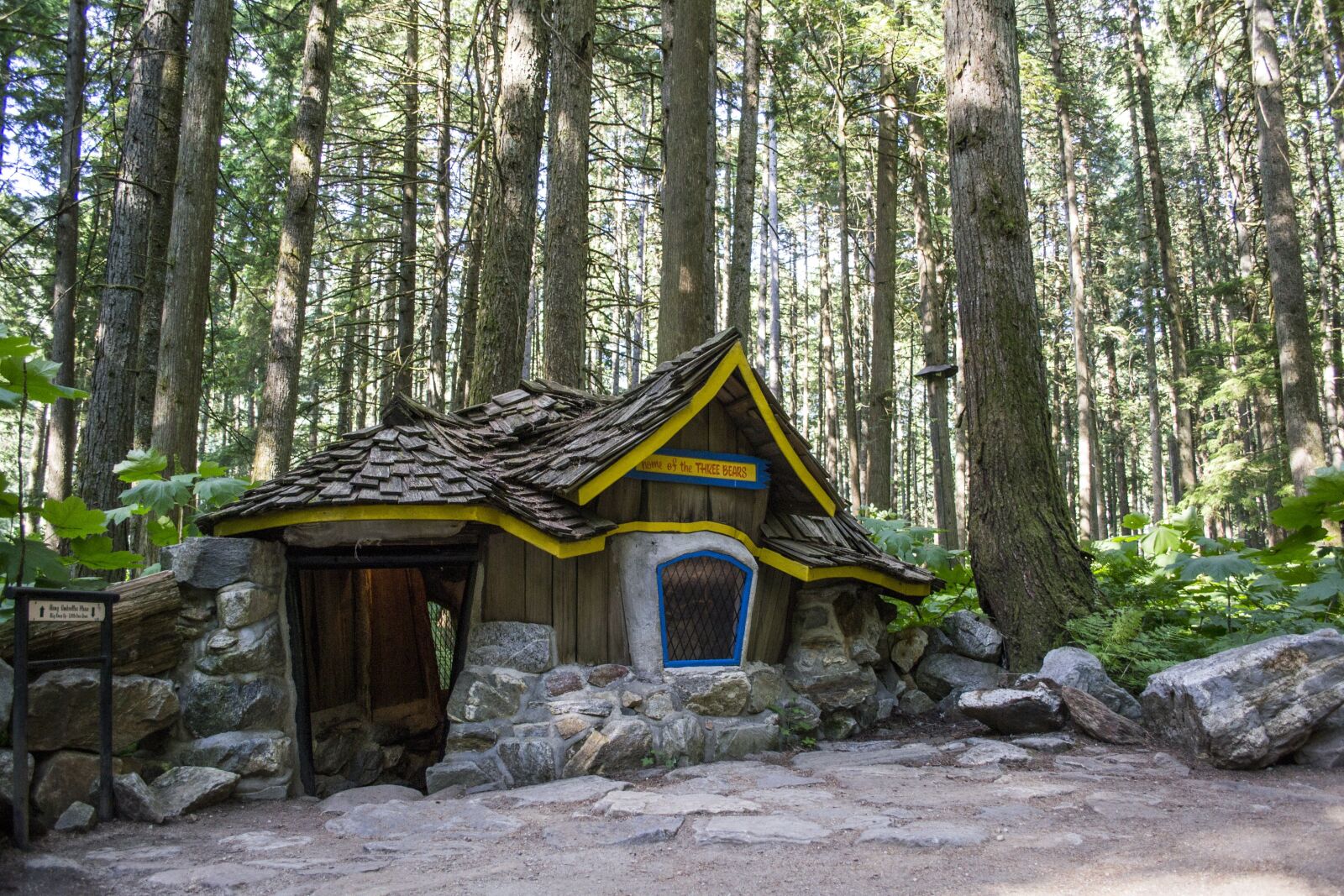 Nikon D3100 sample photo. Forest, path, magic photography