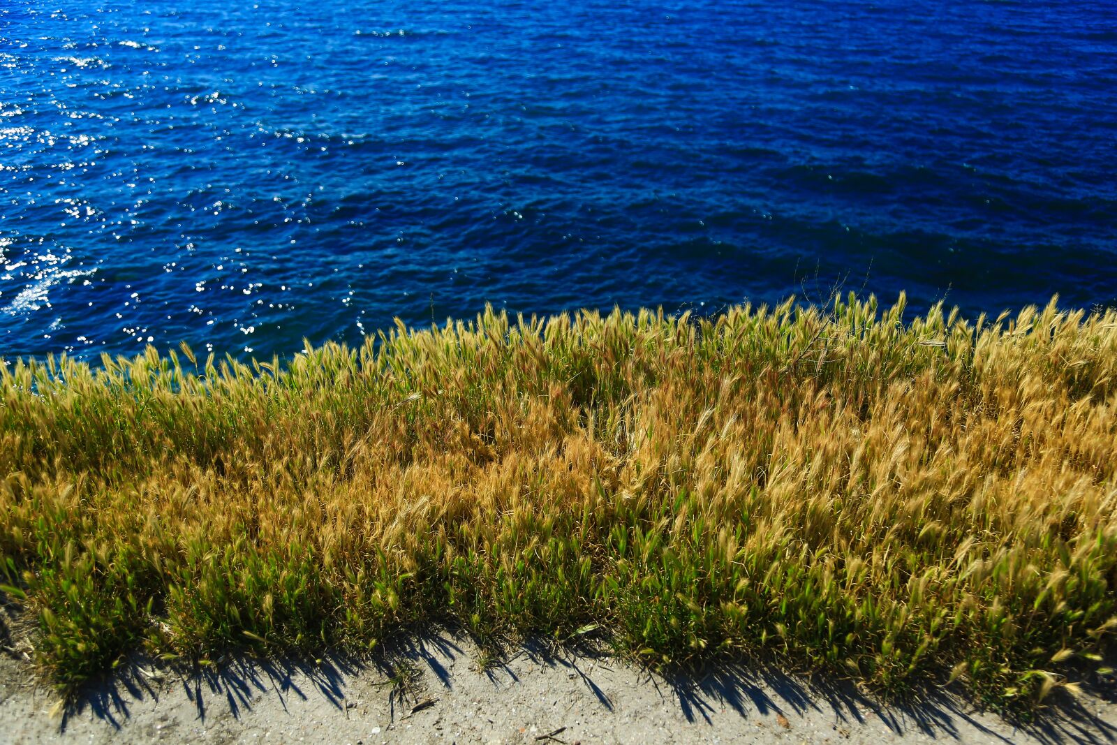 Canon EF 24-105mm F4L IS USM sample photo. Sea, black sea, crimea photography