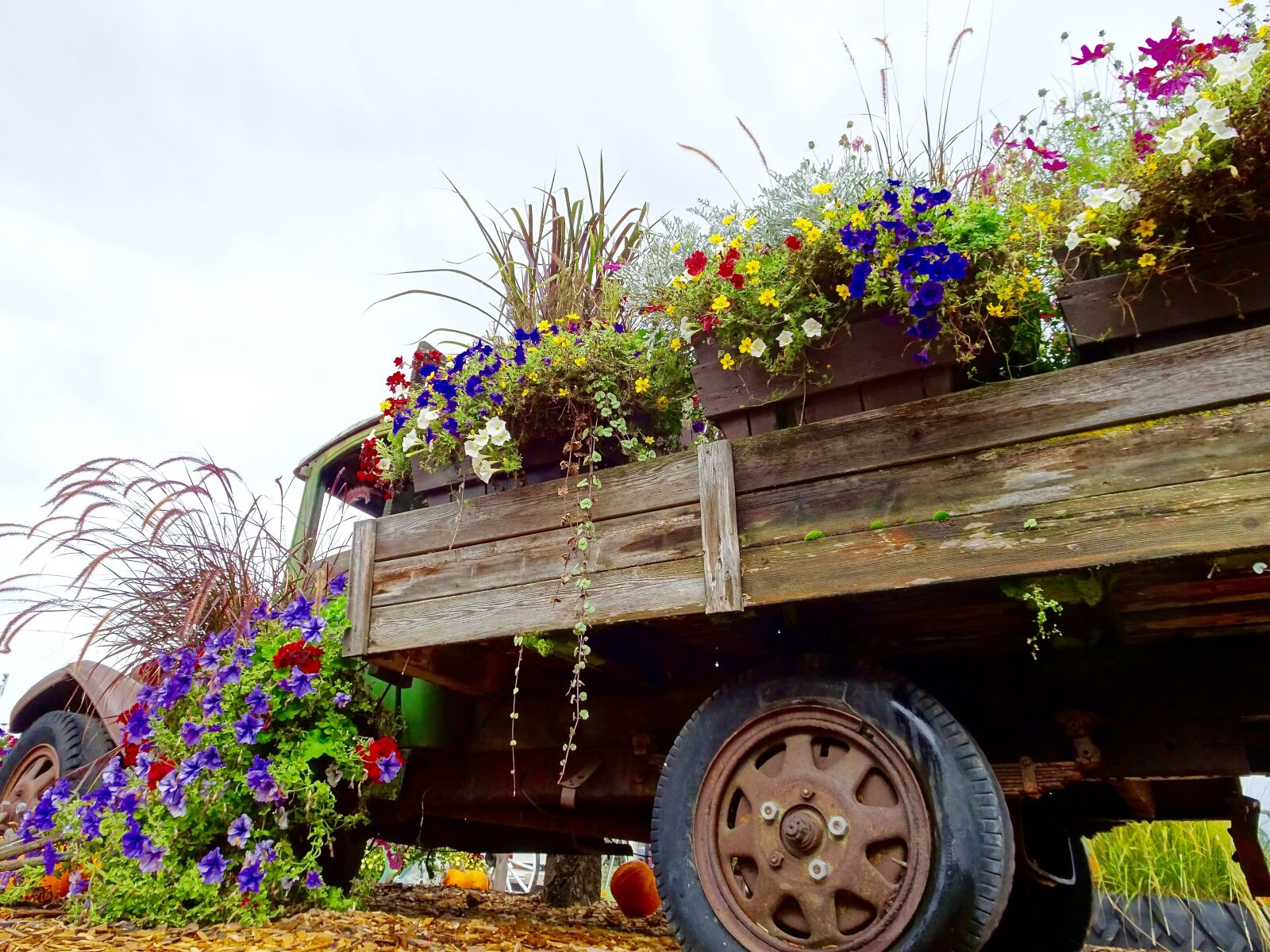 Sony Cyber-shot DSC-HX90V sample photo. Truck, flowers, display photography