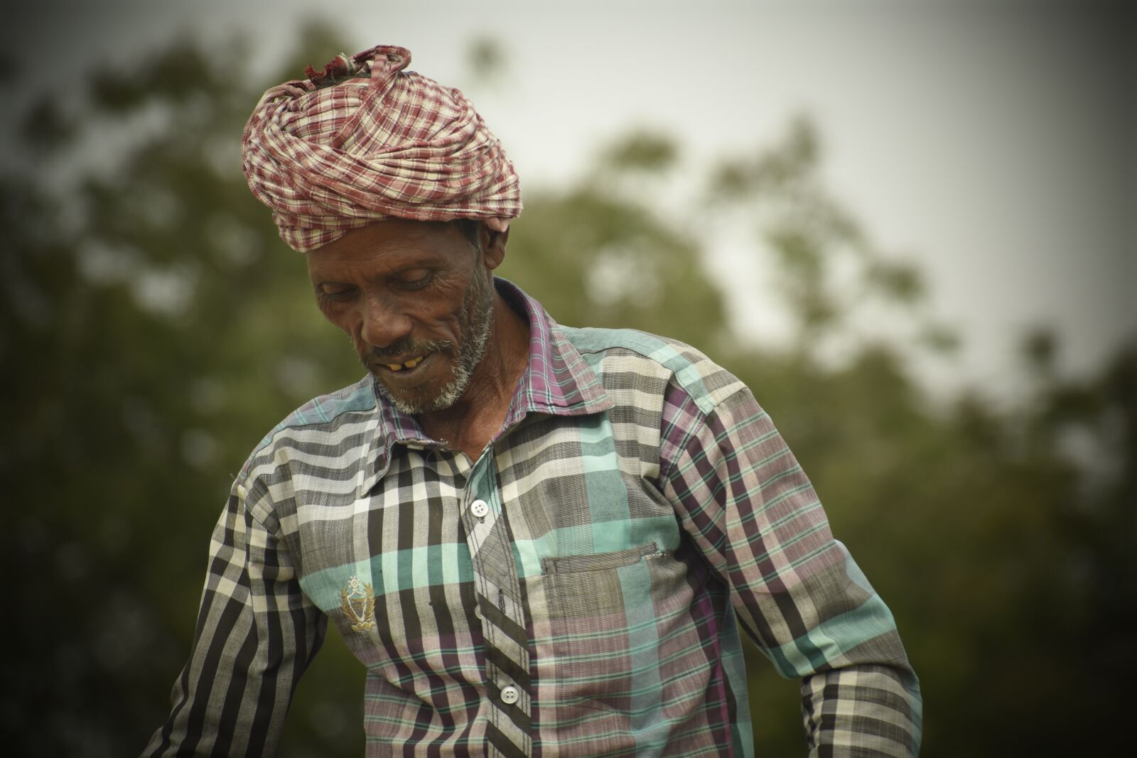 Nikon D3400 sample photo. Farmer, old, people photography