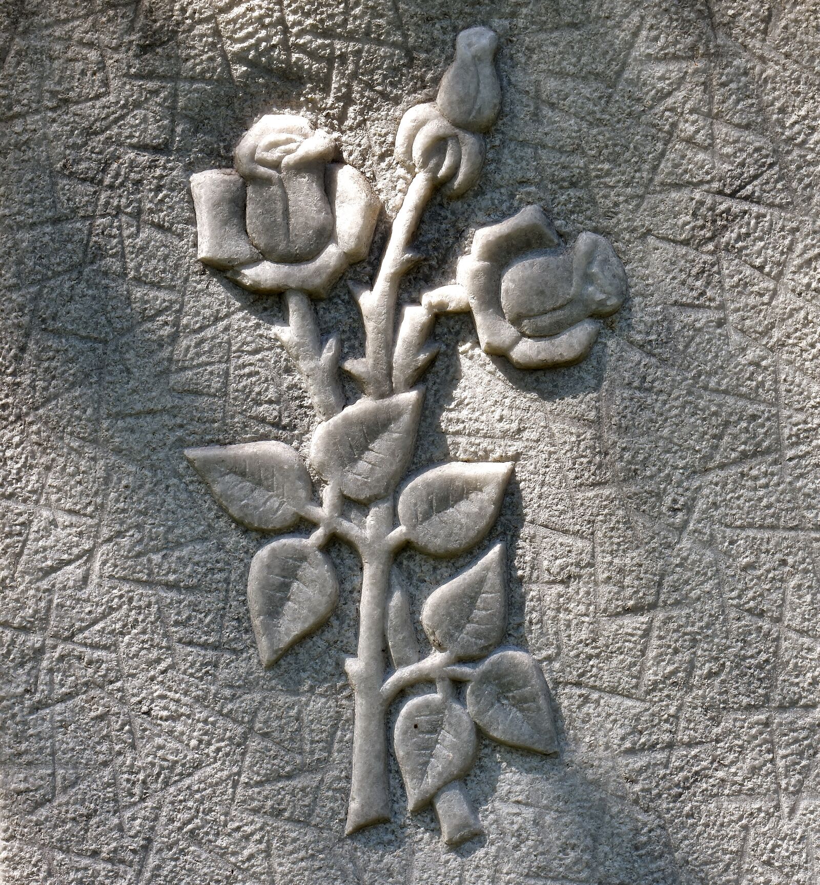 Nikon D7200 sample photo. Roses, stone, relief photography