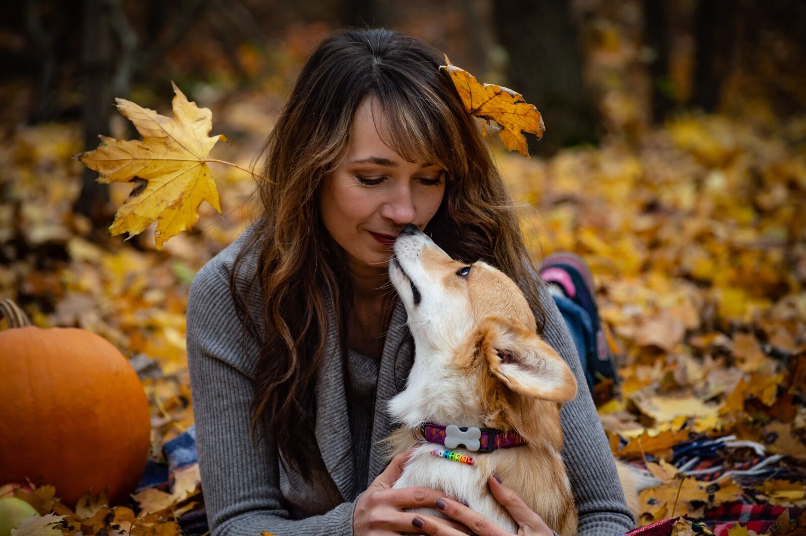 Nikon D3200 sample photo. Welsh corgi pembroke, corgi photography