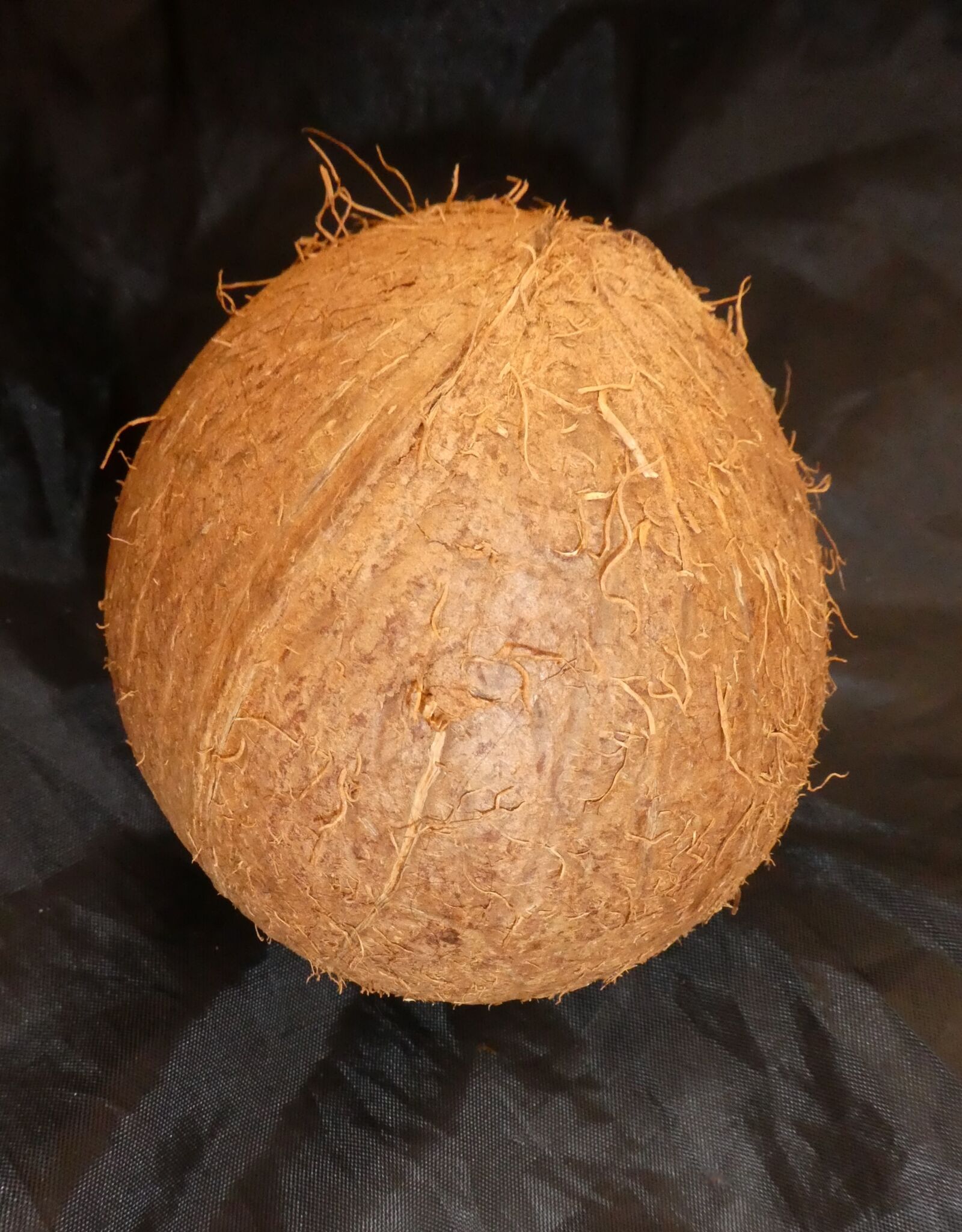 Panasonic DMC-TZ81 sample photo. Coconut, fruit, palm fruit photography