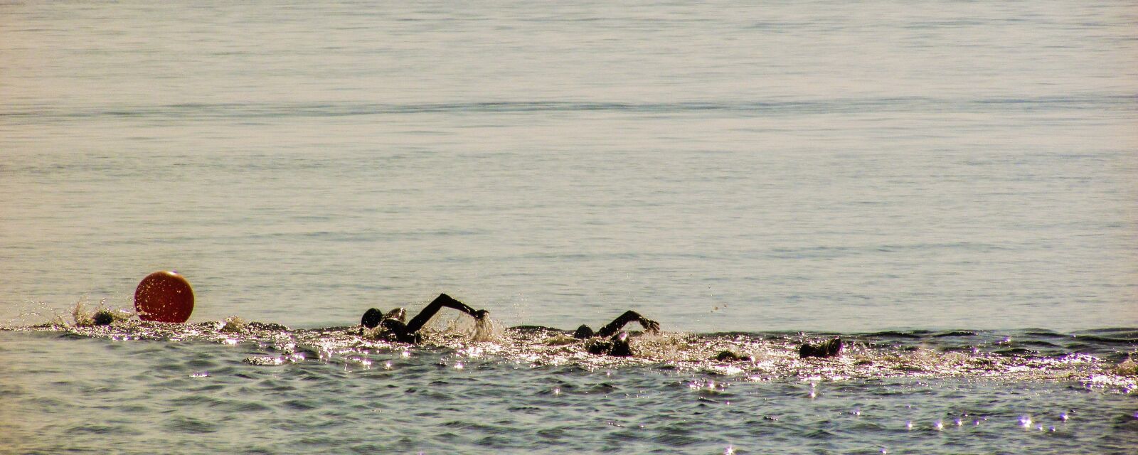 Canon PowerShot SX400 IS sample photo. Swimming, competition, swim photography