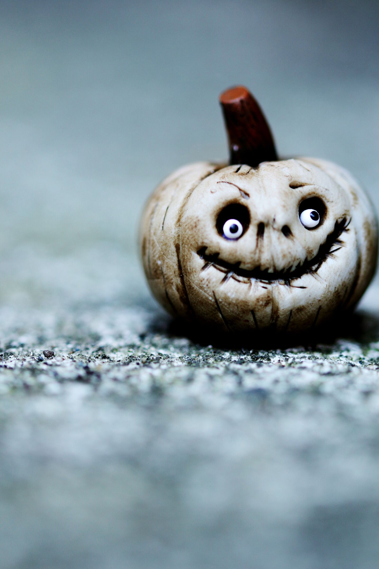 Canon EOS 7D Mark II sample photo. Figure, halloween, vegetables photography