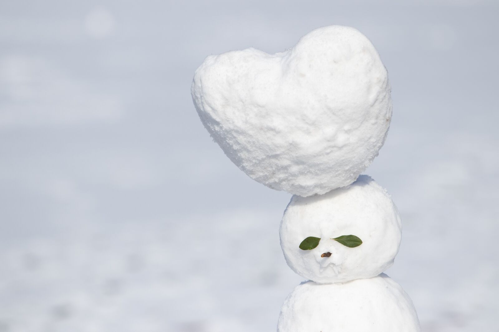 Canon EF 70-200mm F2.8L USM sample photo. Snow, snowman, winter photography