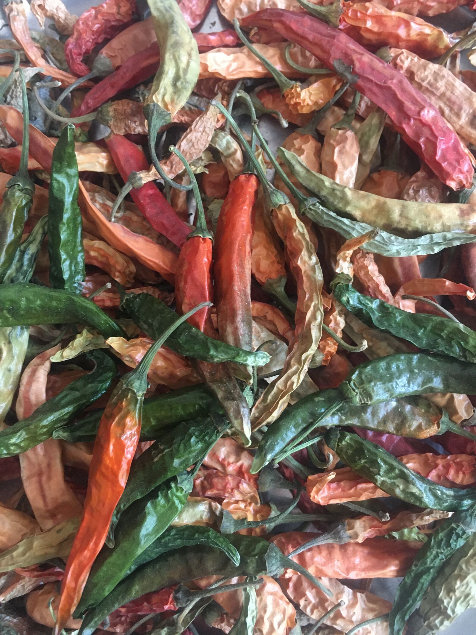 Apple iPhone 6s sample photo. Spices, red, green photography