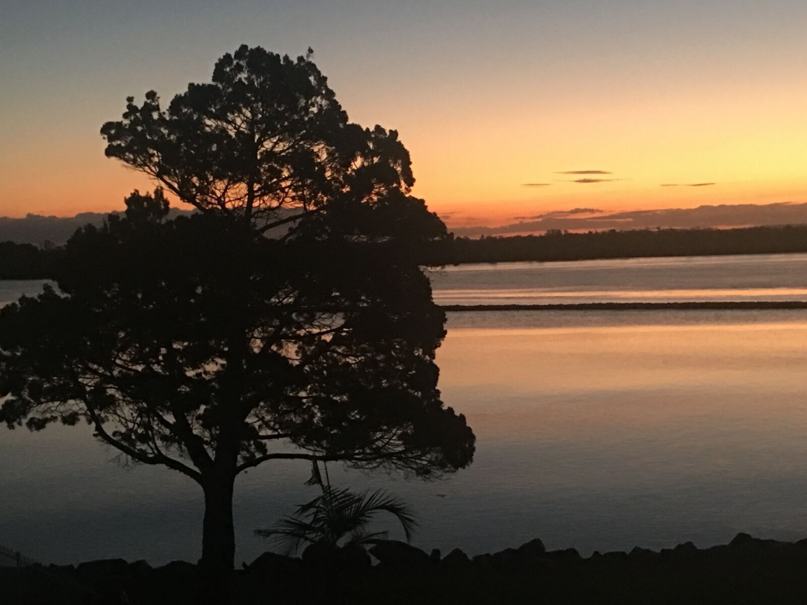 Apple iPhone 6s Plus sample photo. Sunrise, tree, ocean photography