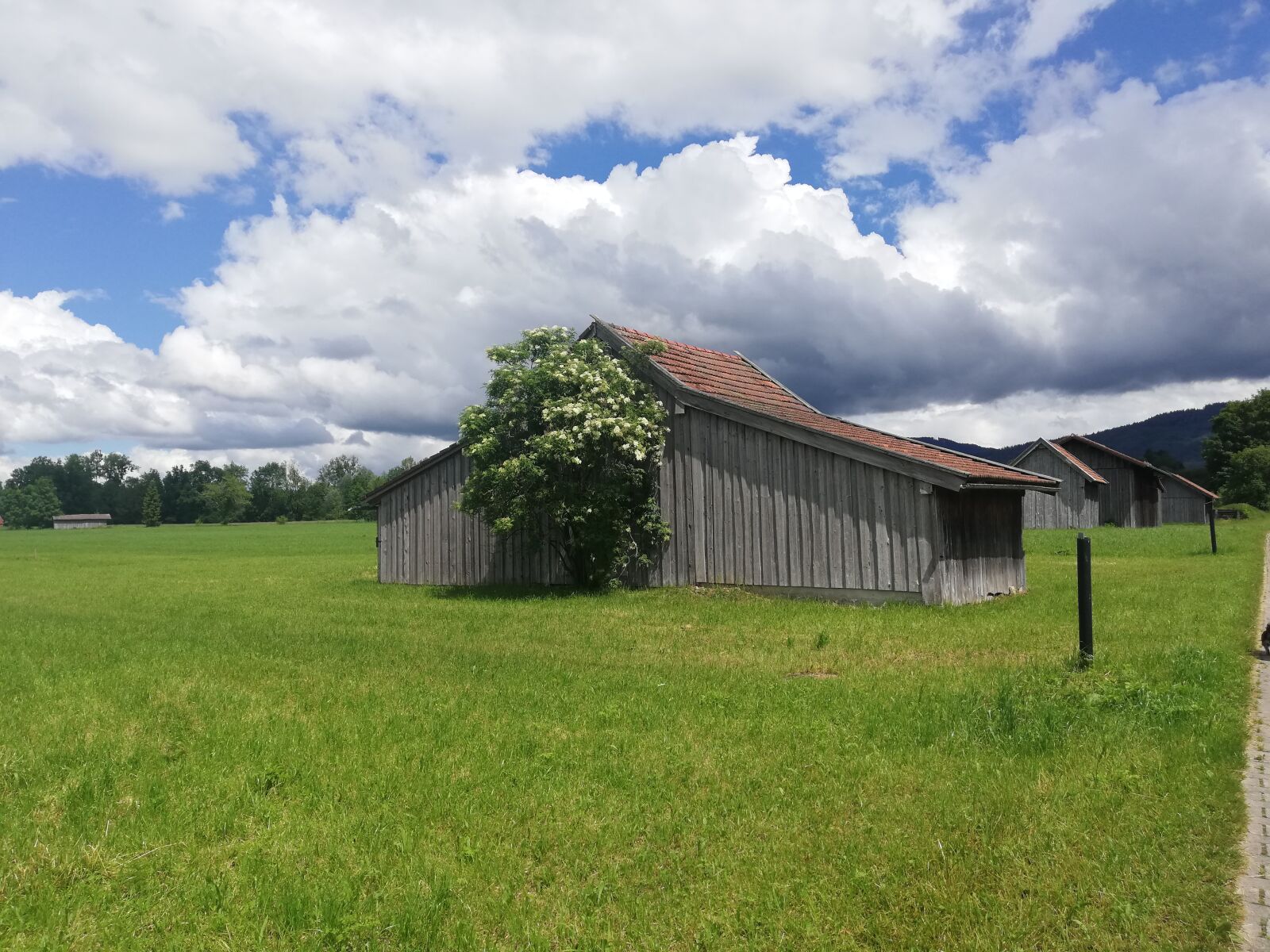 HUAWEI P20 lite sample photo. Benedikt beuren, rundwanderweg, bavaria photography