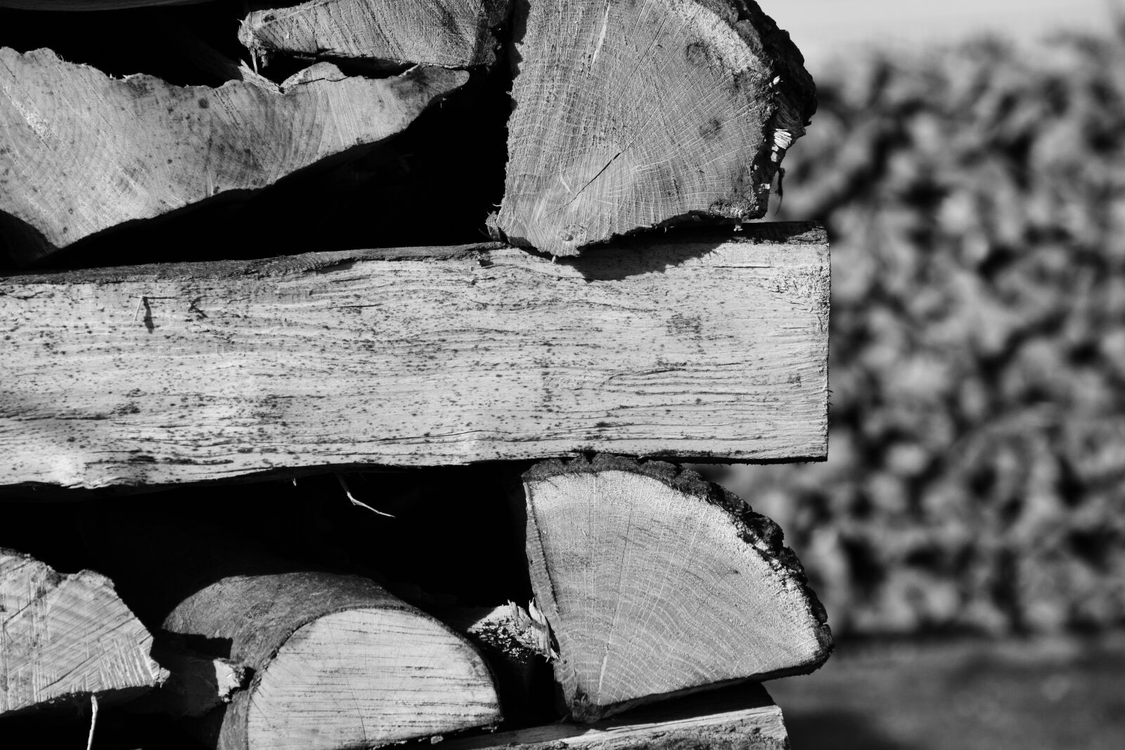 Nikon D3300 sample photo. Wood, firewood, holzstapel photography