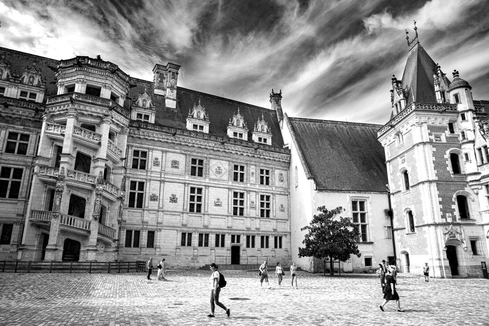 Canon 24-70mm F2.8 DG OS HSM | Art 017 sample photo. Castle, blois, architecture photography