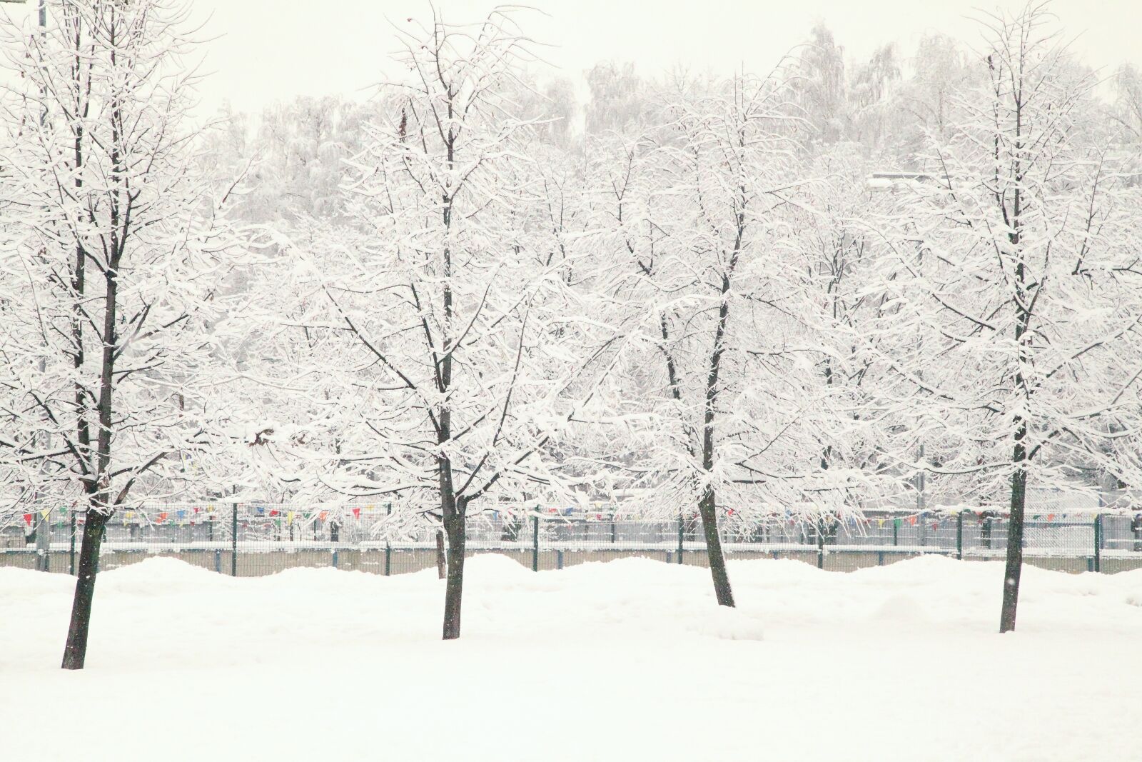 Canon EOS 5D Mark II sample photo. Russian winter, white snow photography