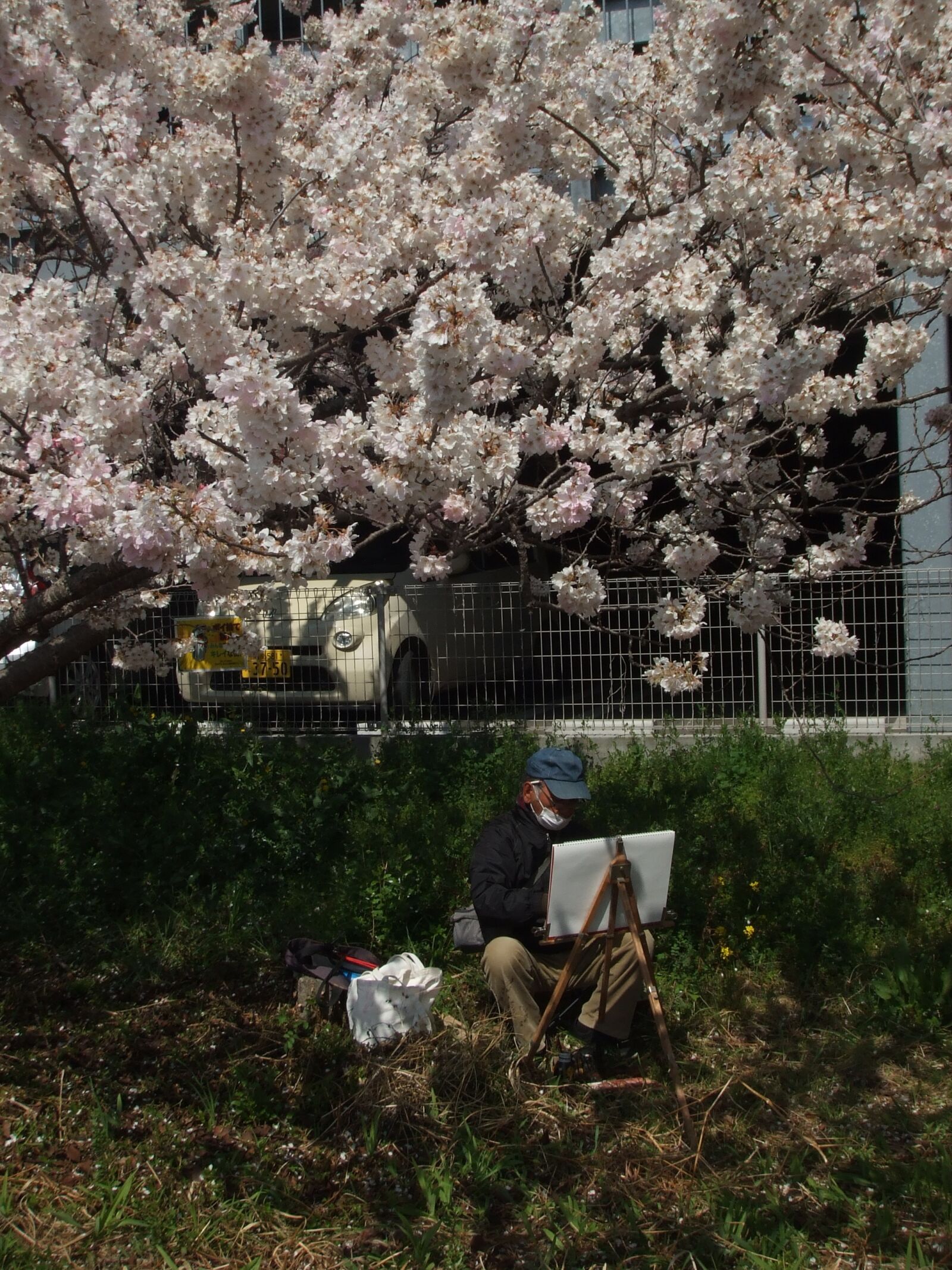 Fujifilm FinePix Z5fd sample photo
