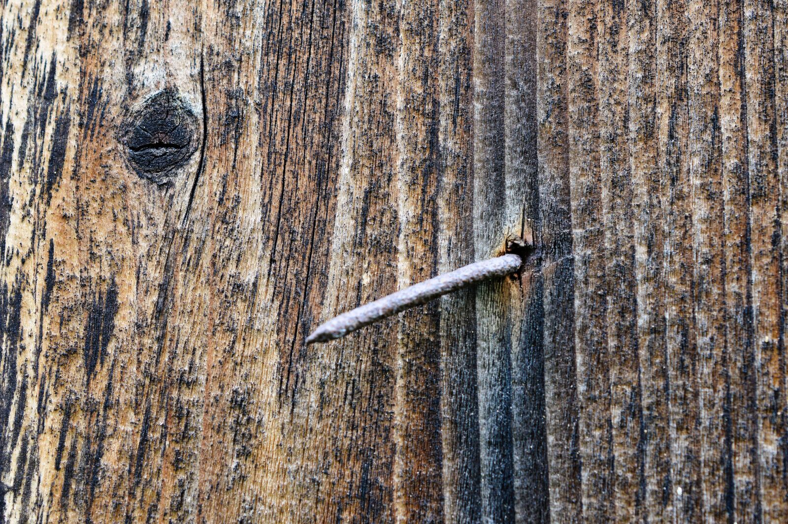 Nikon D3200 sample photo. Texture, wood, nail photography