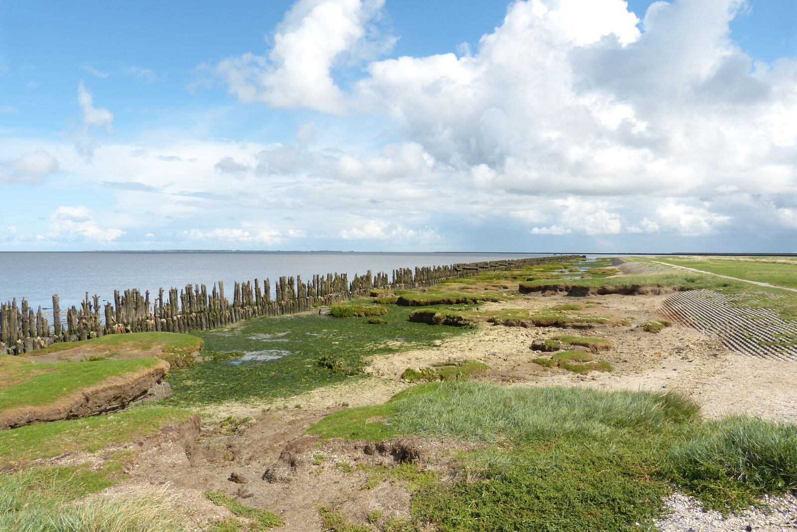 Panasonic Lumix DMC-FZ150 sample photo. North sea, netherlands, ebb photography