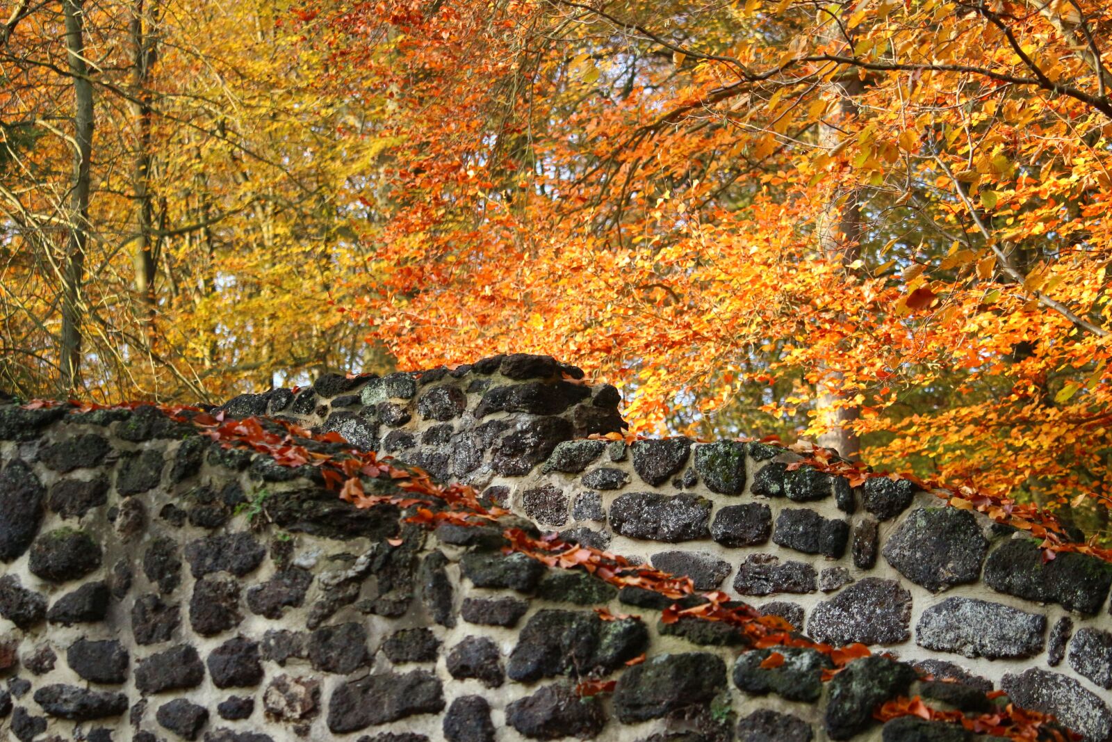 Canon EOS 100D (EOS Rebel SL1 / EOS Kiss X7) sample photo. Autumn, wall, clumping stone photography