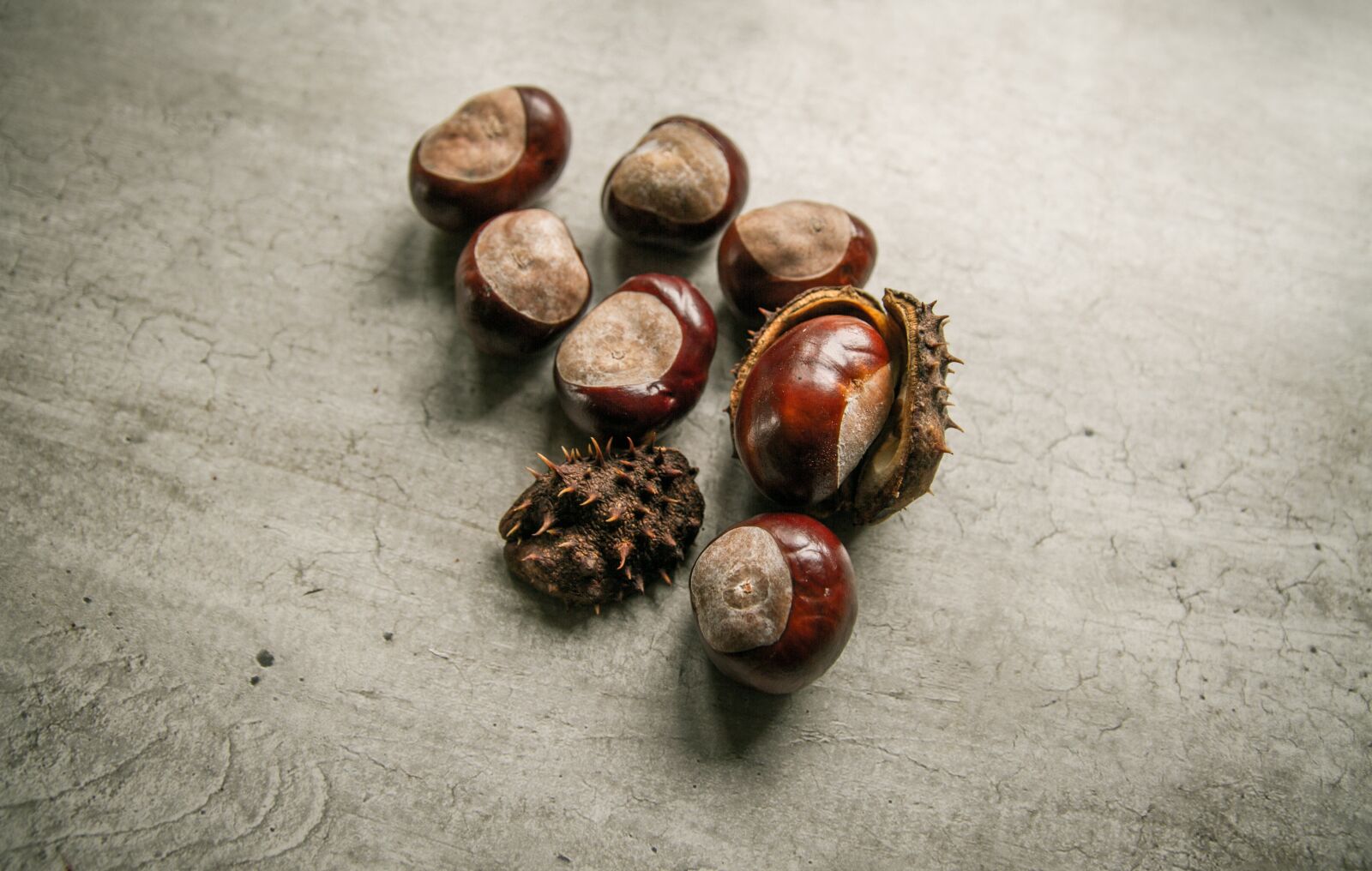 Canon EOS 7D sample photo. Chestnuts, fresh, food photography