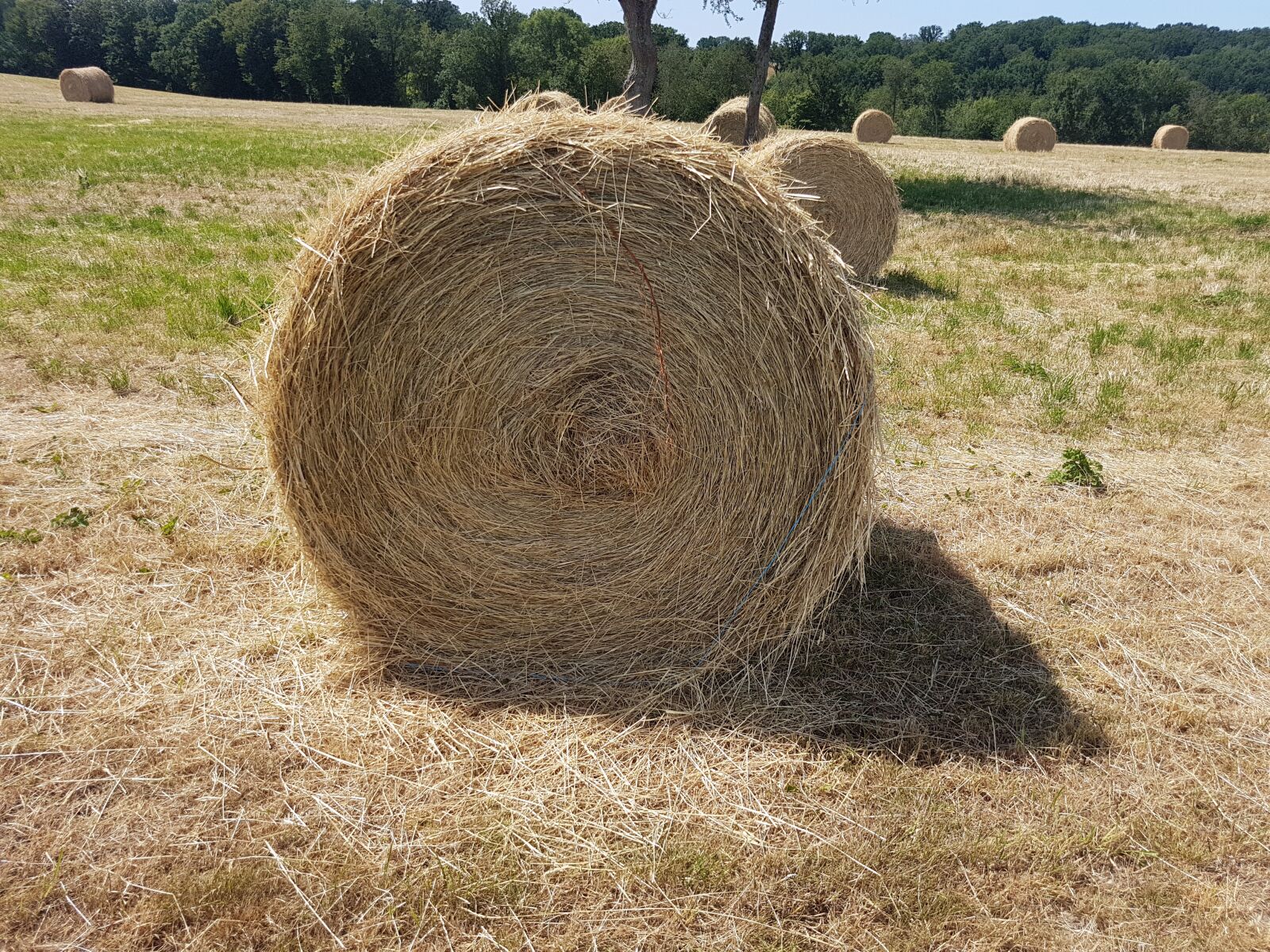 Samsung Galaxy S7 sample photo. Fields, straw, harvest photography