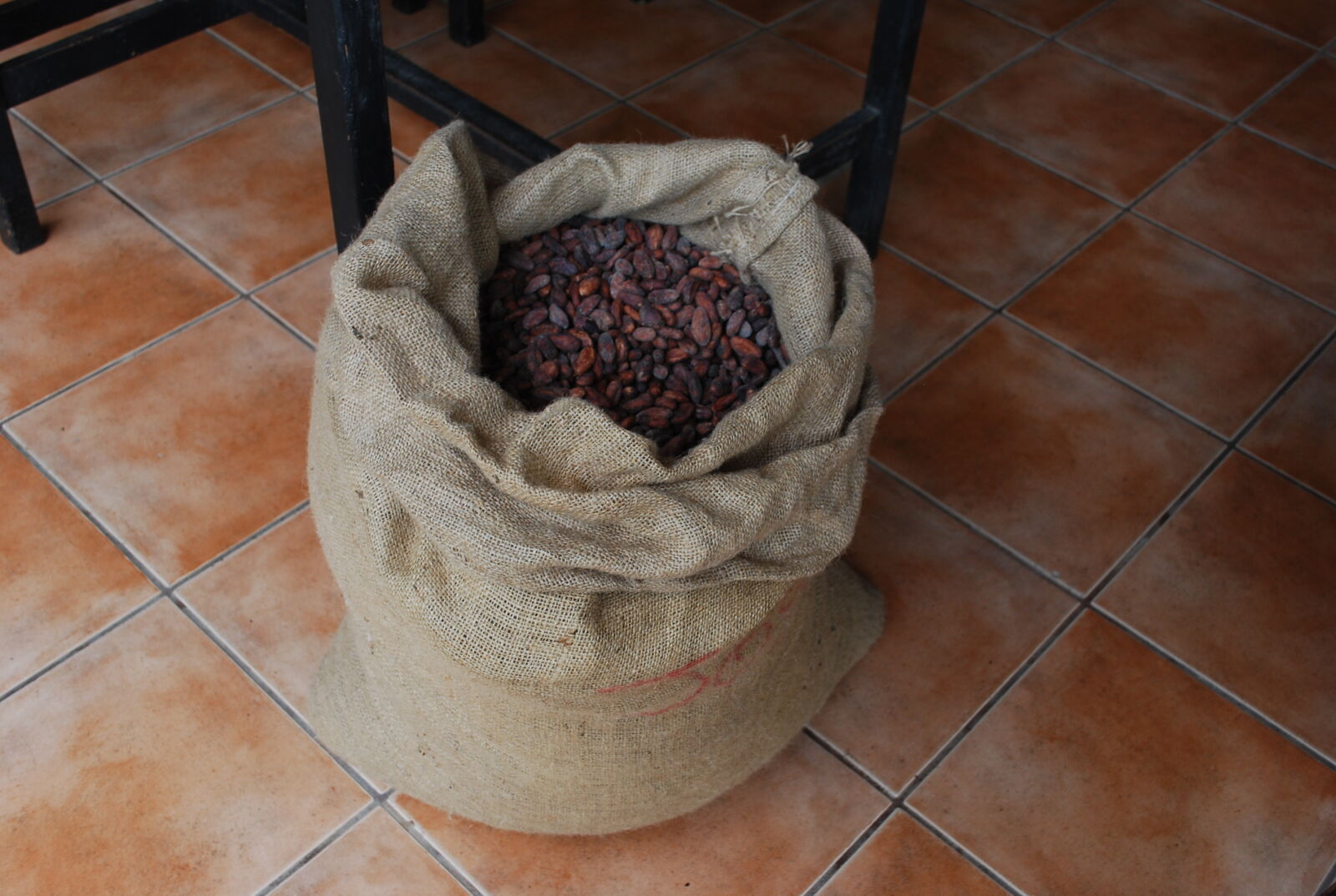 Nikon D60 sample photo. Bag, cocoa, cocoa, beans photography