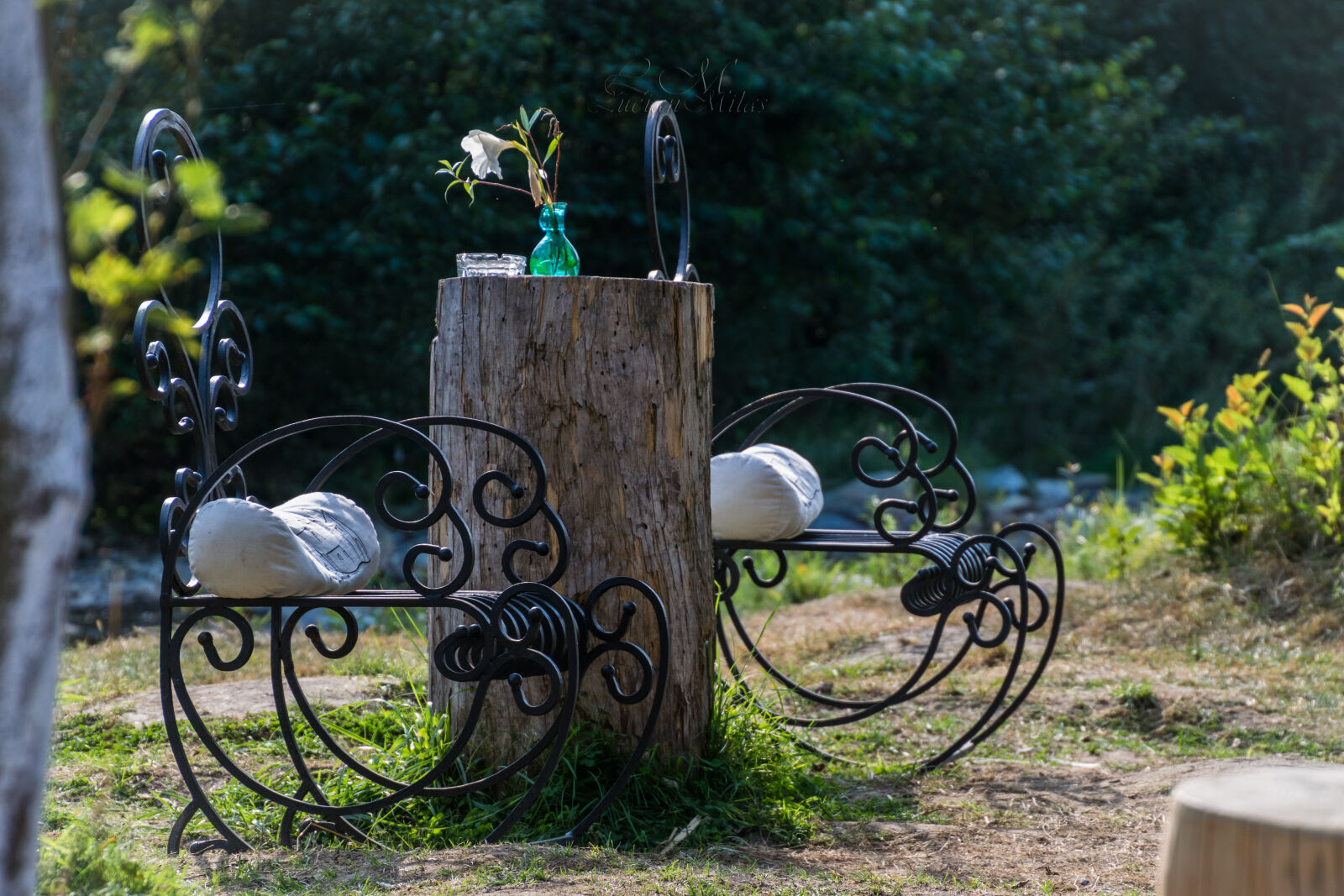 Nikon D5300 sample photo